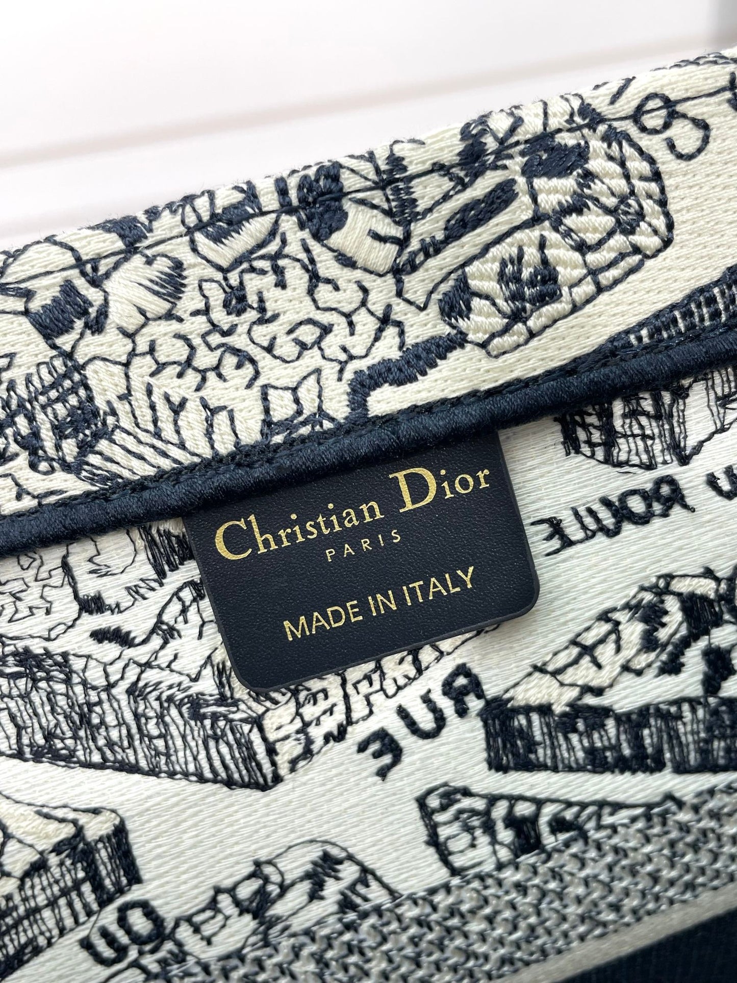 Christian Dior Book Tote Plan de Paris Embroidered Bag