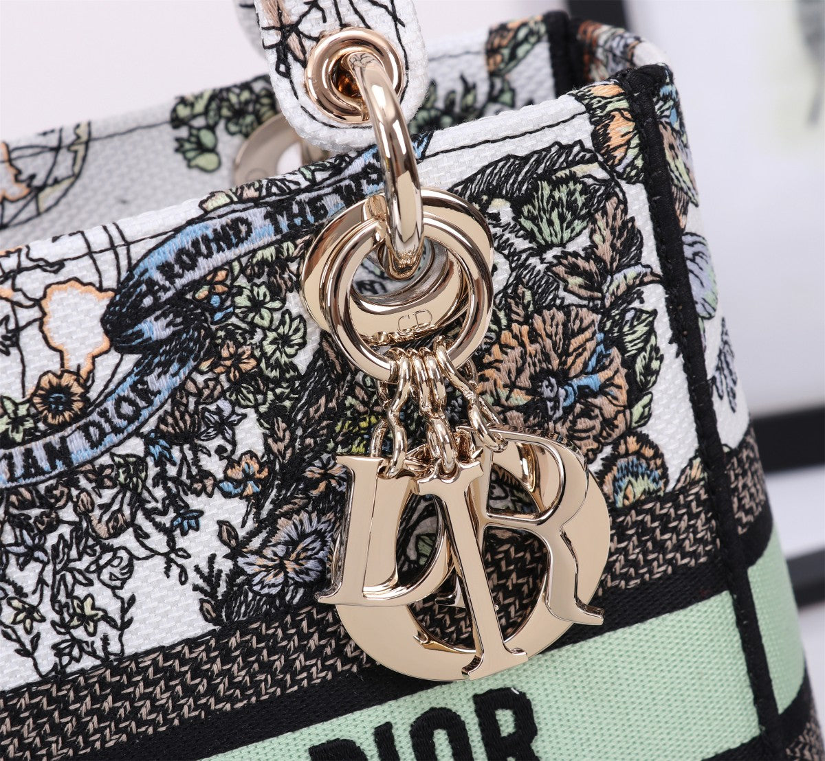 Christian Dior Lady D-Lite Bag with Black and White Embroidery