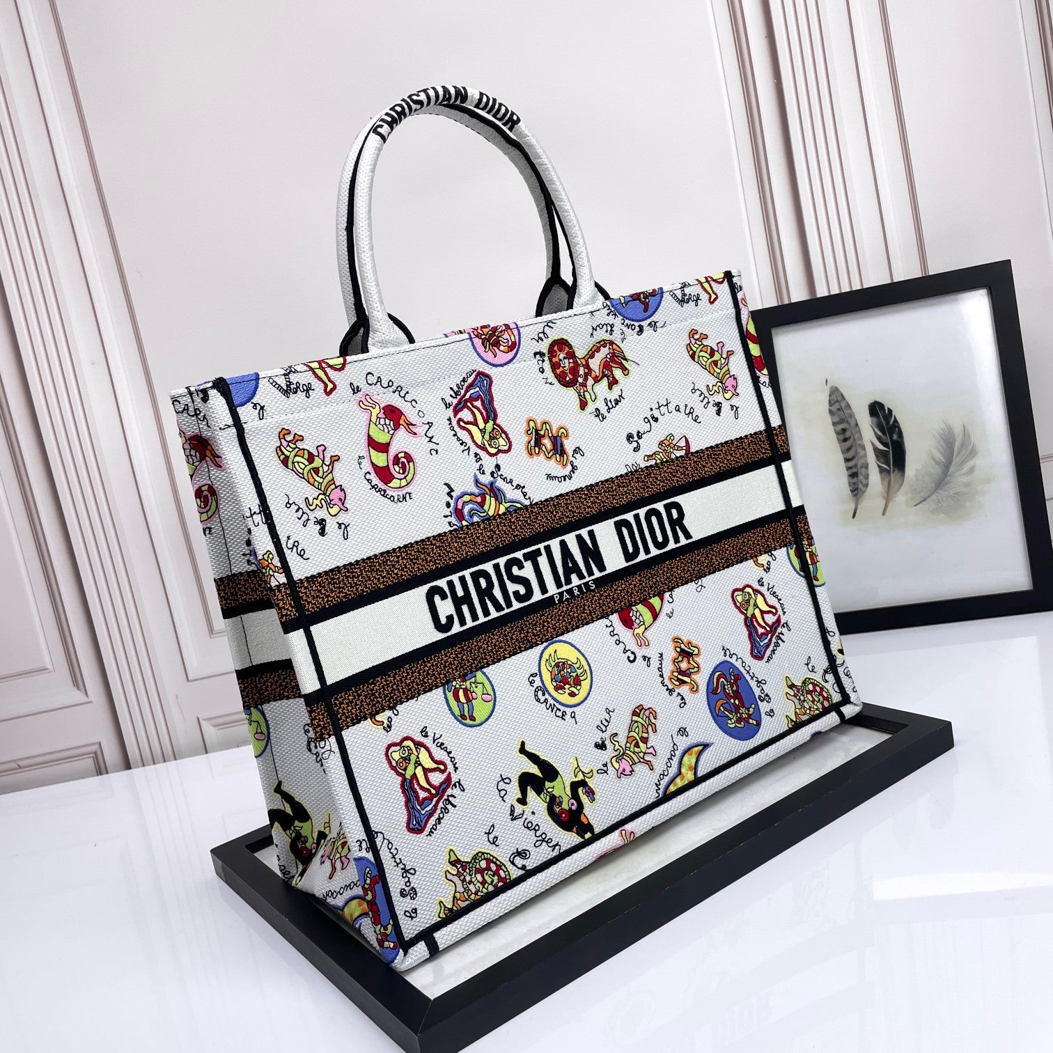 Christian Dior Medium Book Tote Zodiac Embroidery Canvas Bag