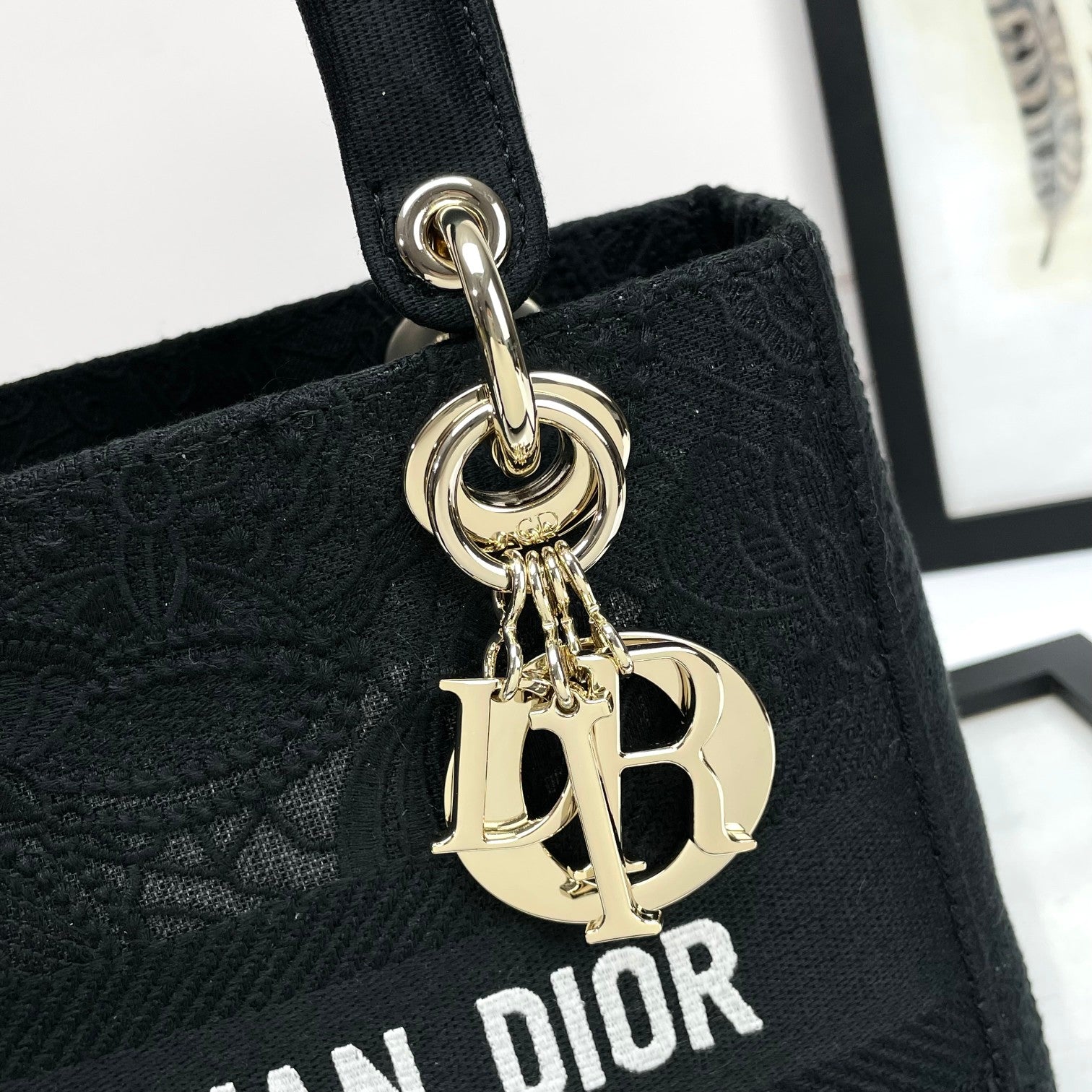 Christian Dior Lady D-Lite Medium Bag Black Embroidered Canvas Handbag