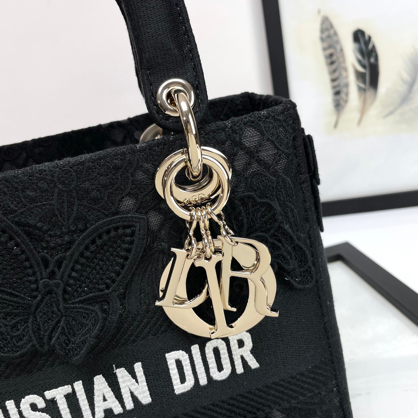 Christian Dior Lady D-Lite Bag - Black Embroidered Canvas Handbag