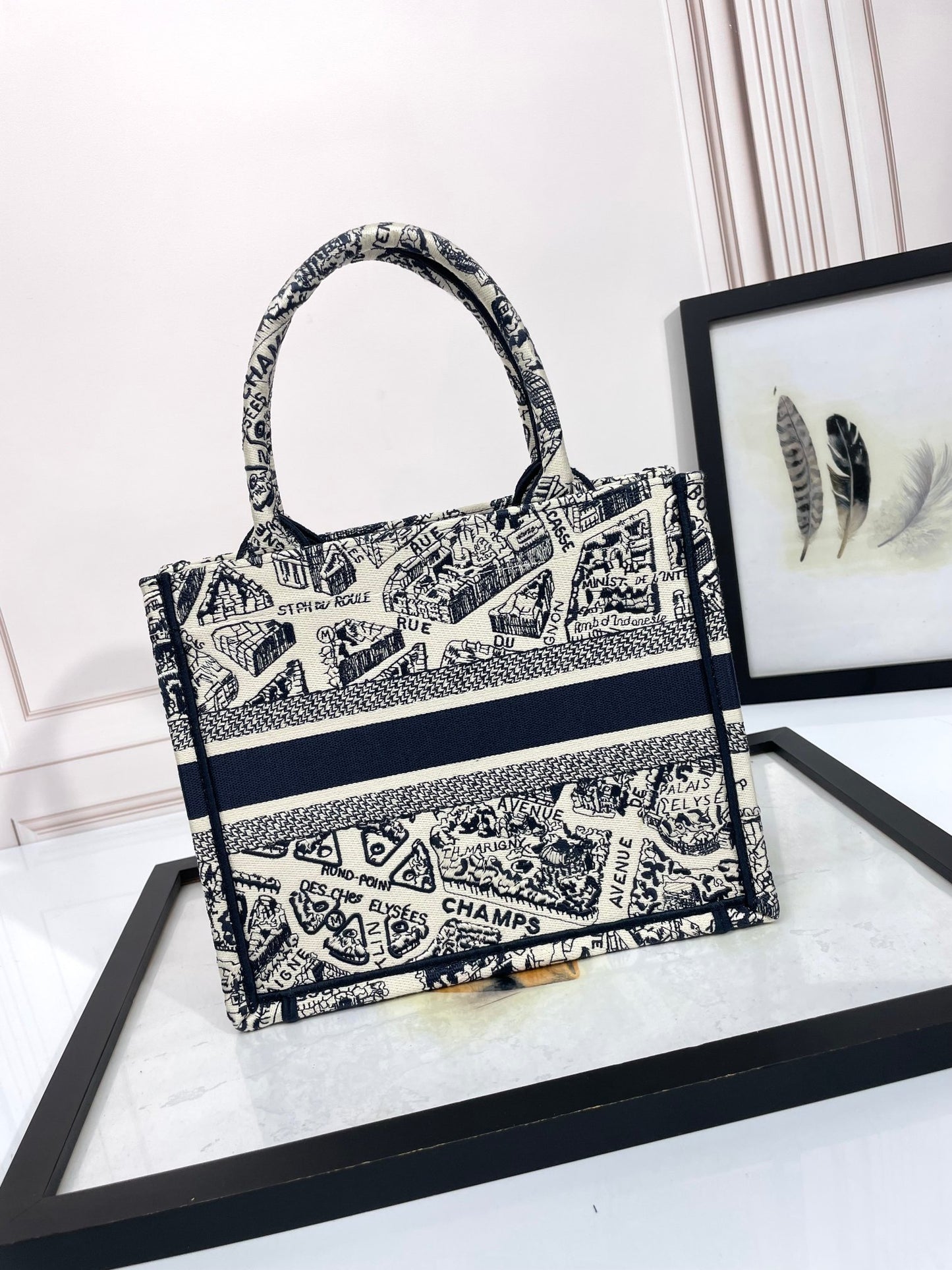 Christian Dior Medium Book Tote Bag - Black and White Plan de Paris Embroidery