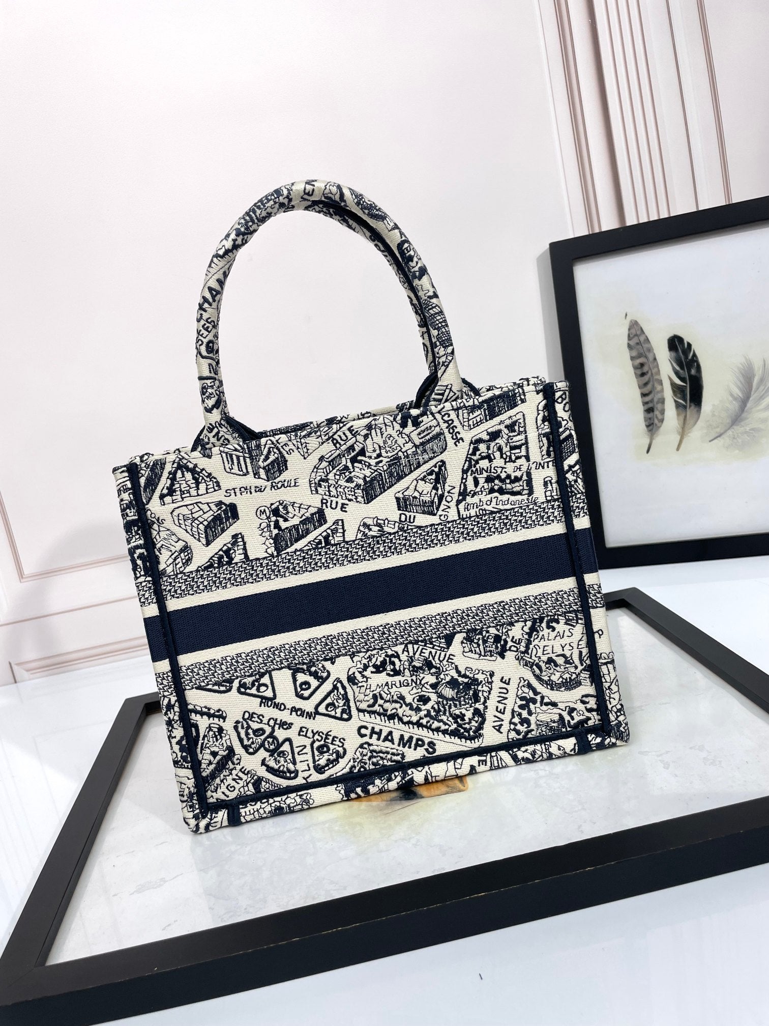 Christian Dior Medium Book Tote Bag - Black and White Plan de Paris Embroidery
