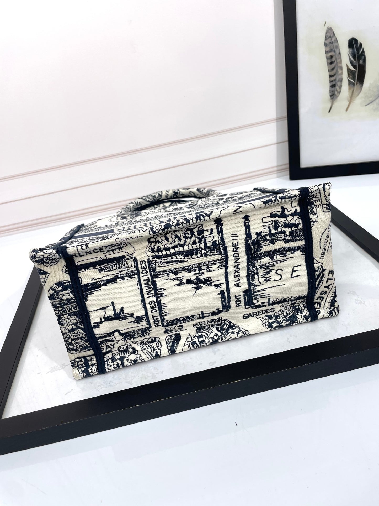 Christian Dior Medium Book Tote - Plan de Paris White and Navy Blue Embroidery