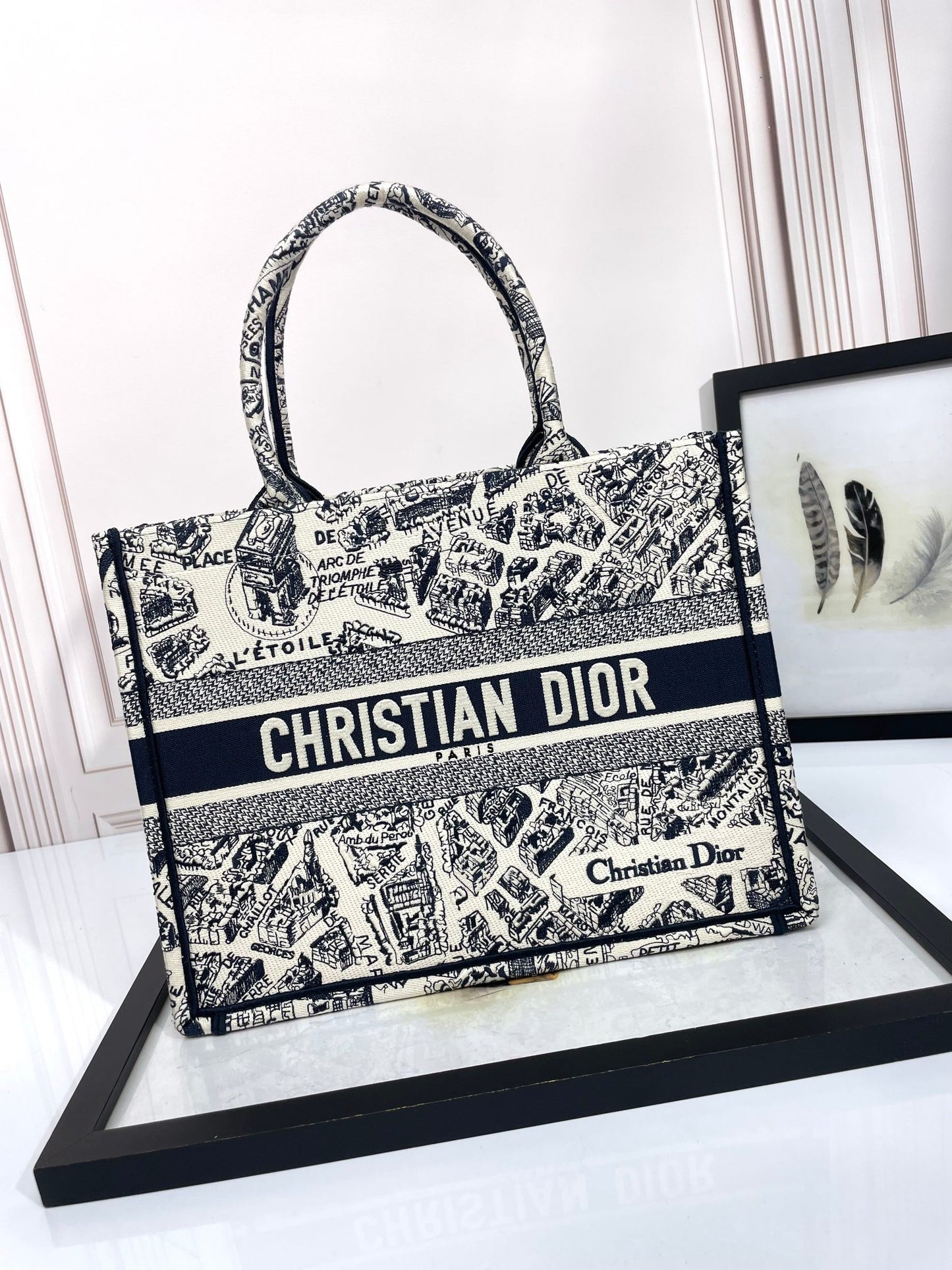 Christian Dior Large Book Tote - White and Black Plan de Paris Embroidery