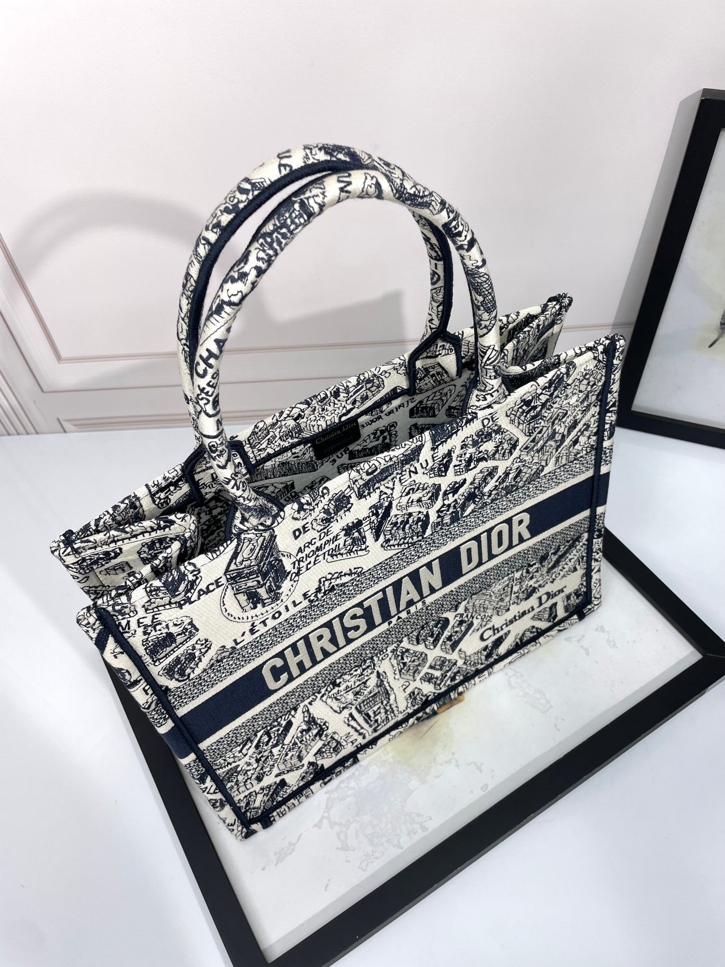 Christian Dior Book Tote Plan de Paris Embroidered Bag