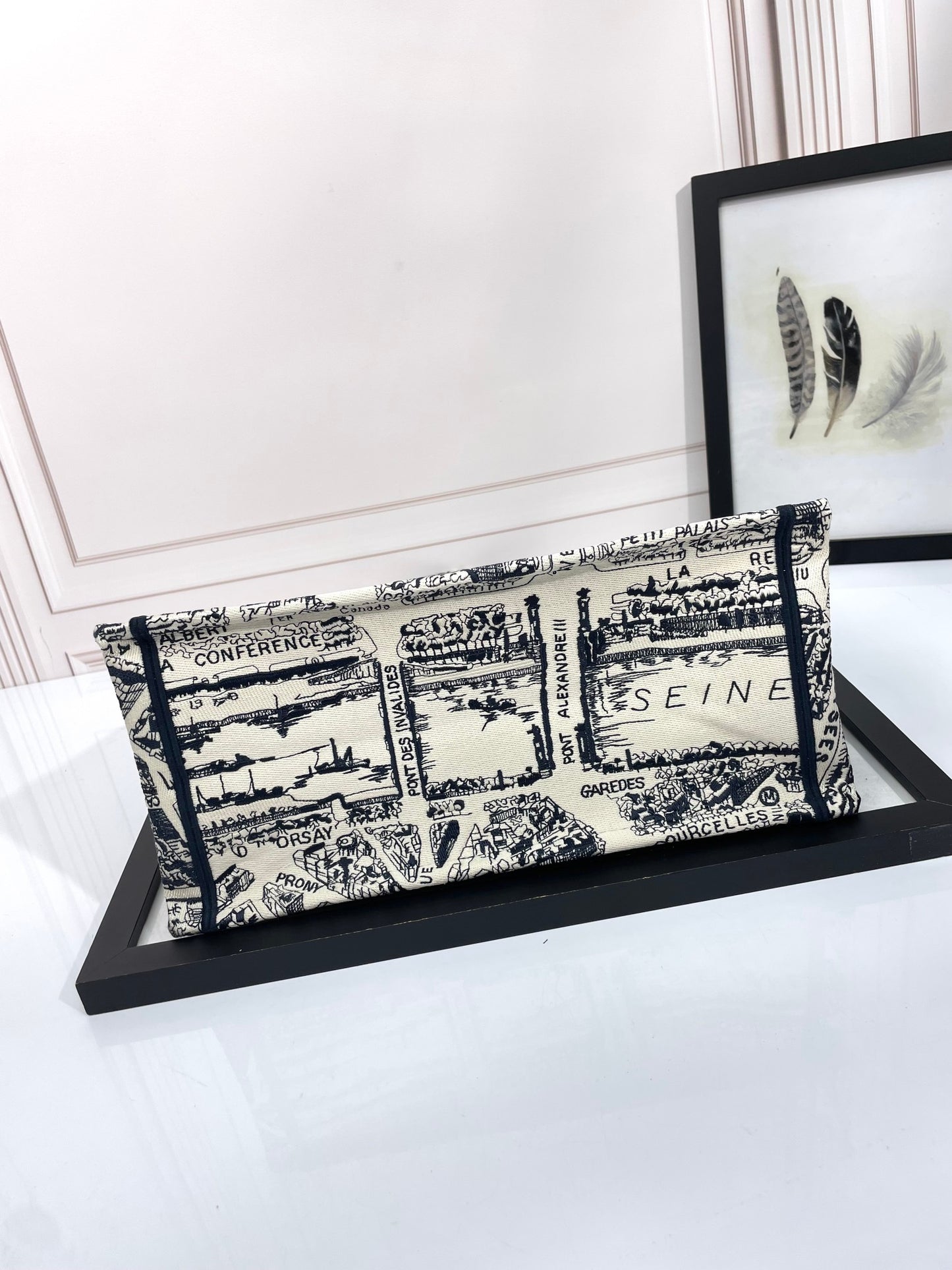 Christian Dior Book Tote Plan de Paris Embroidered Bag