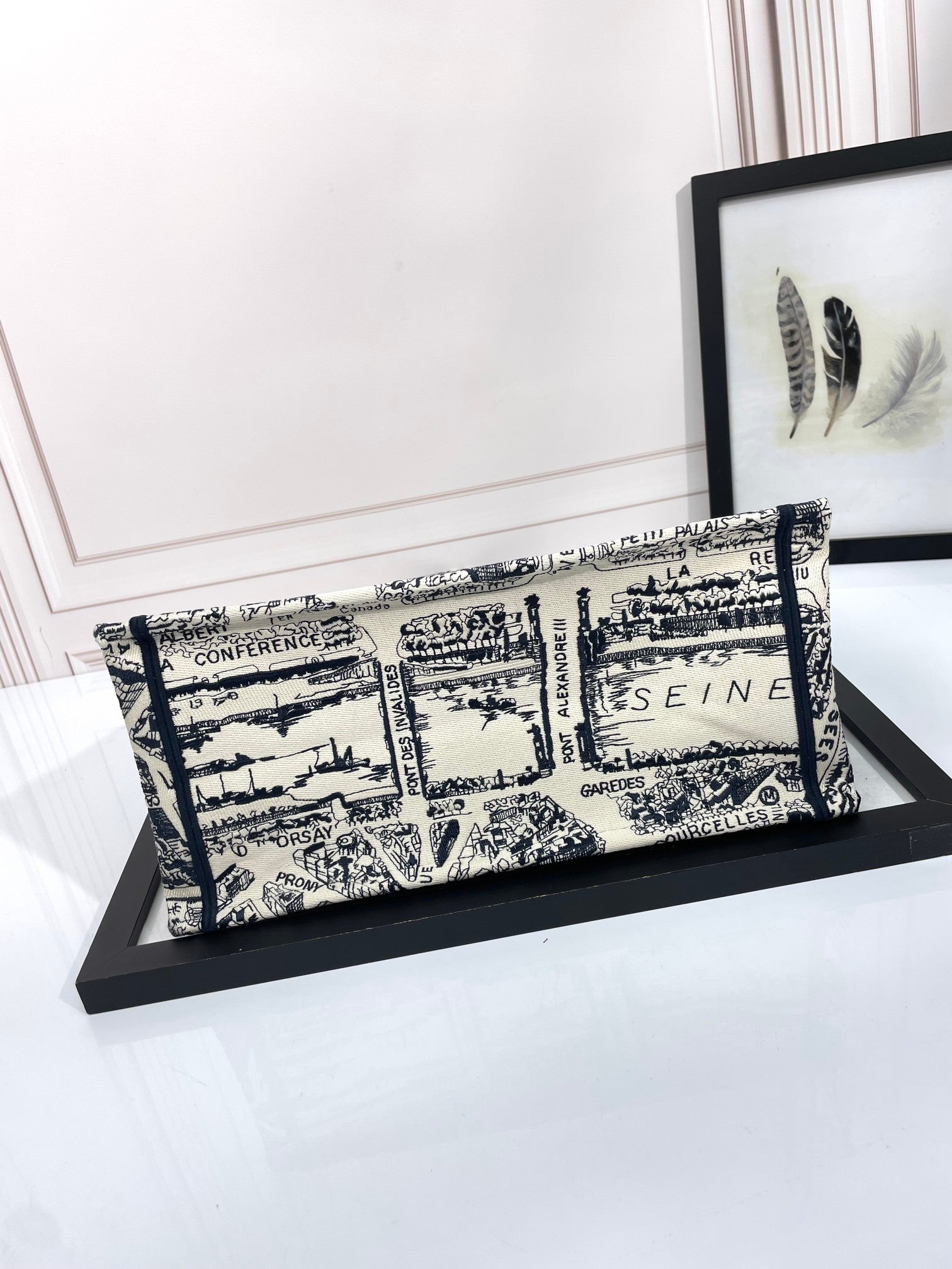Christian Dior Book Tote Plan de Paris Embroidered Bag