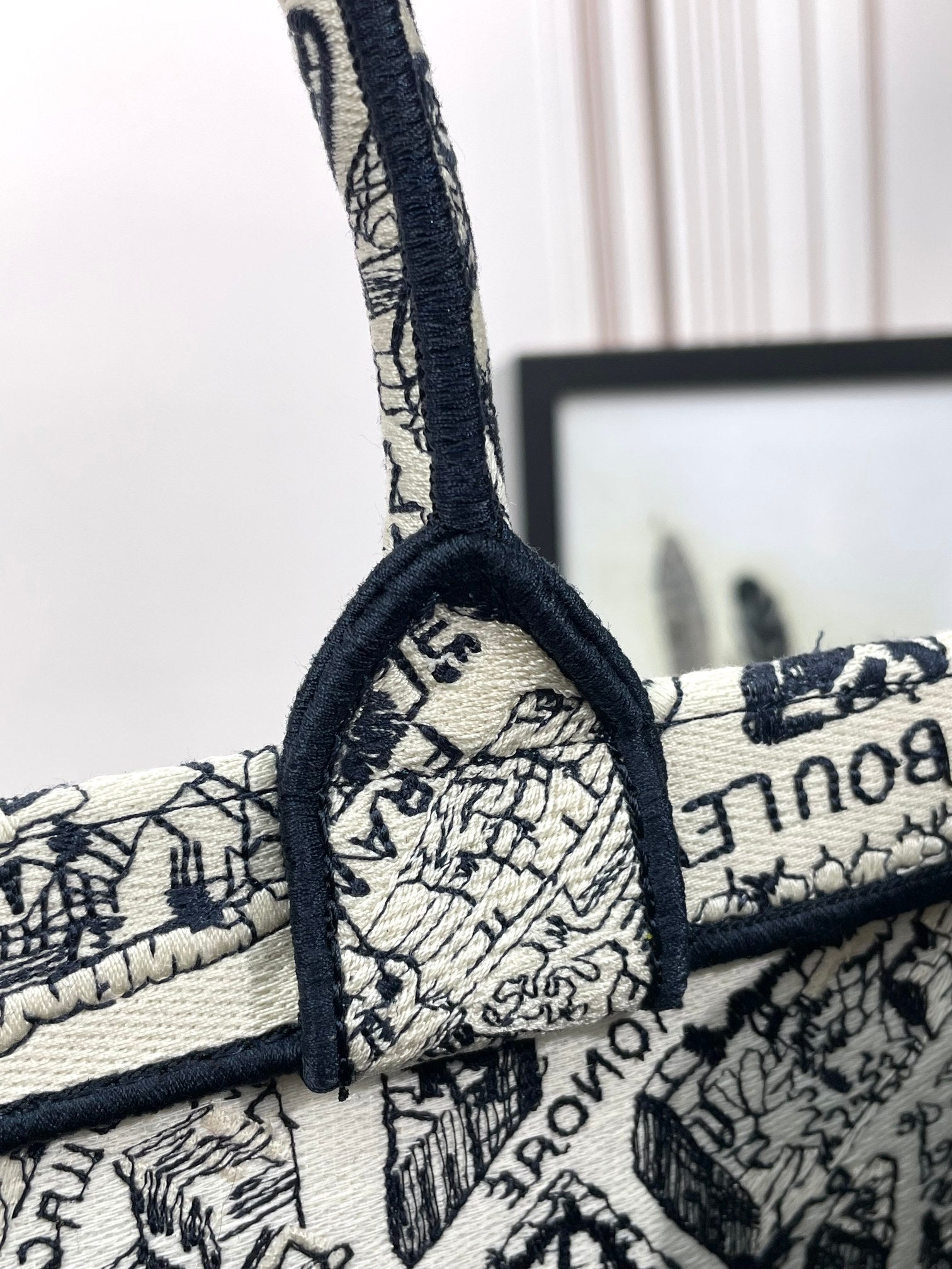 Christian Dior Large Book Tote Bag in Plan de Paris Embroidery - Luxury Designer Handbag
