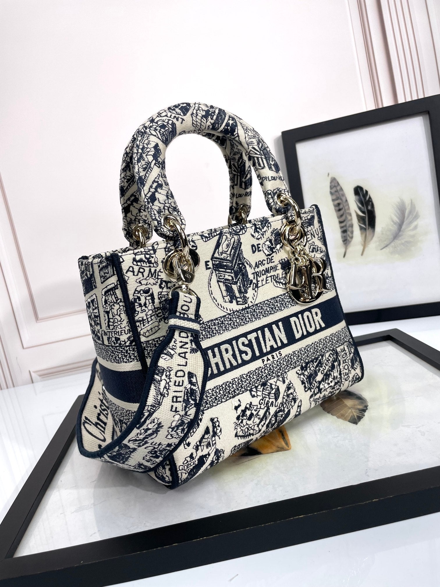 Christian Dior Lady D-Lite Bag - Blue Toile de Jouy Reverse Embroidery