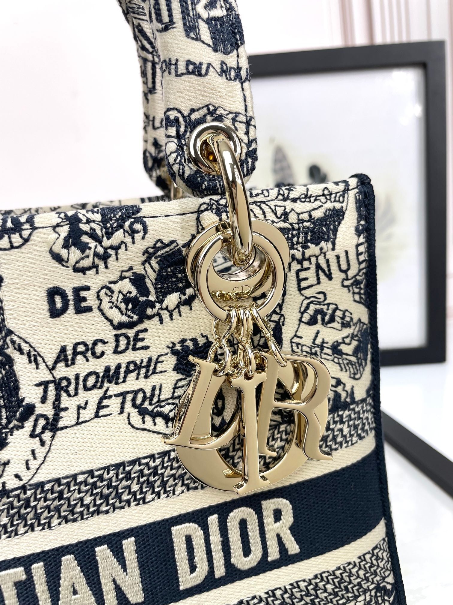 Christian Dior Medium Lady D-Lite Bag - Blue Toile de Jouy Embroidered Canvas Handbag