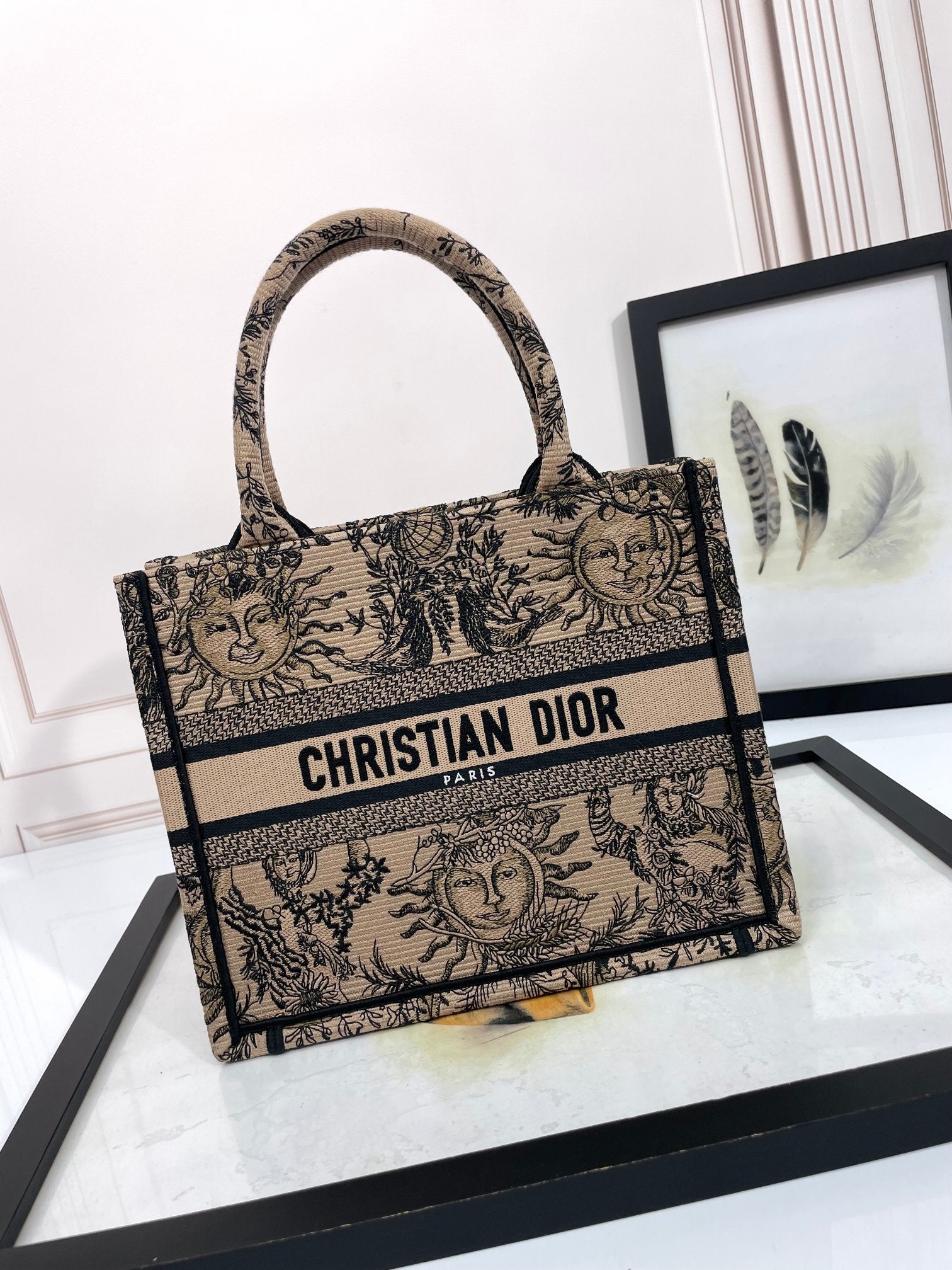 Christian Dior Book Tote Canvas Bag with Celestial Sun Motif