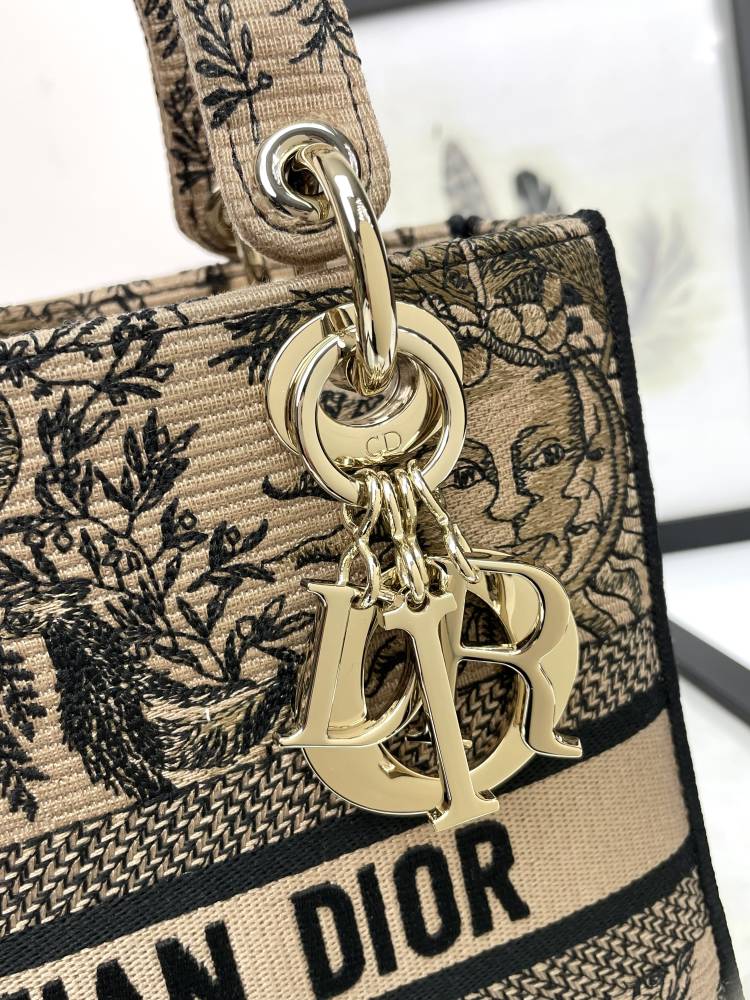 Christian Dior Medium Lady D-Lite Bag - Beige Embroidered Canvas with Constellation Print