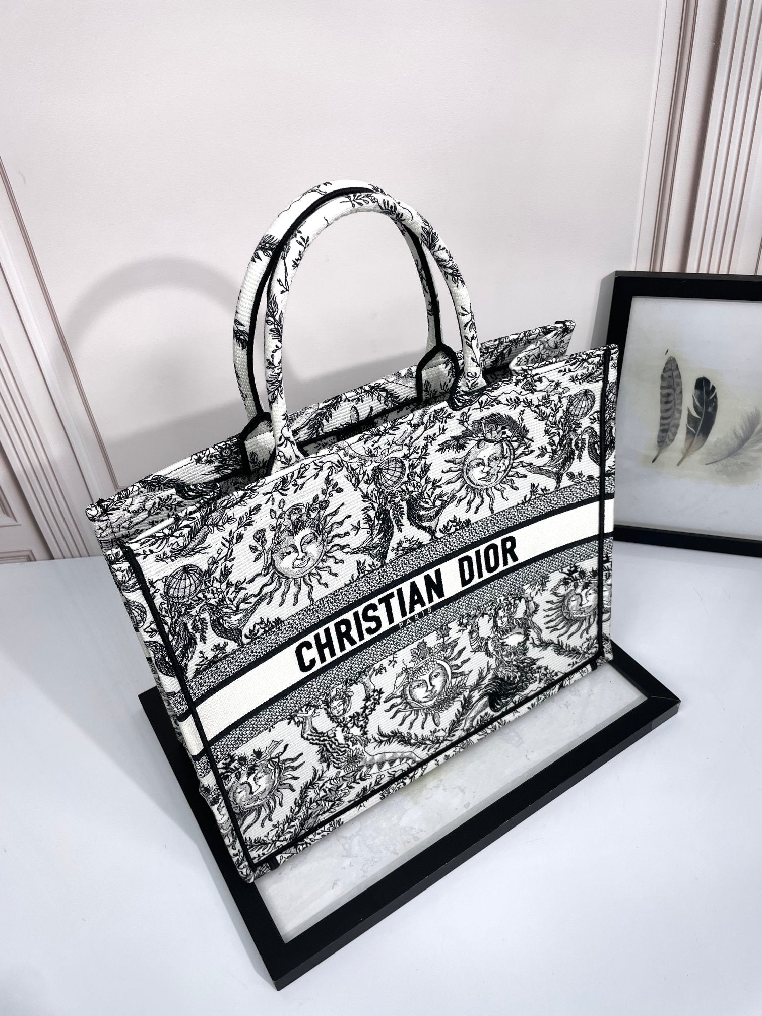 Christian Dior Medium Book Tote - Black and White Toile de Jouy Soleil Canvas