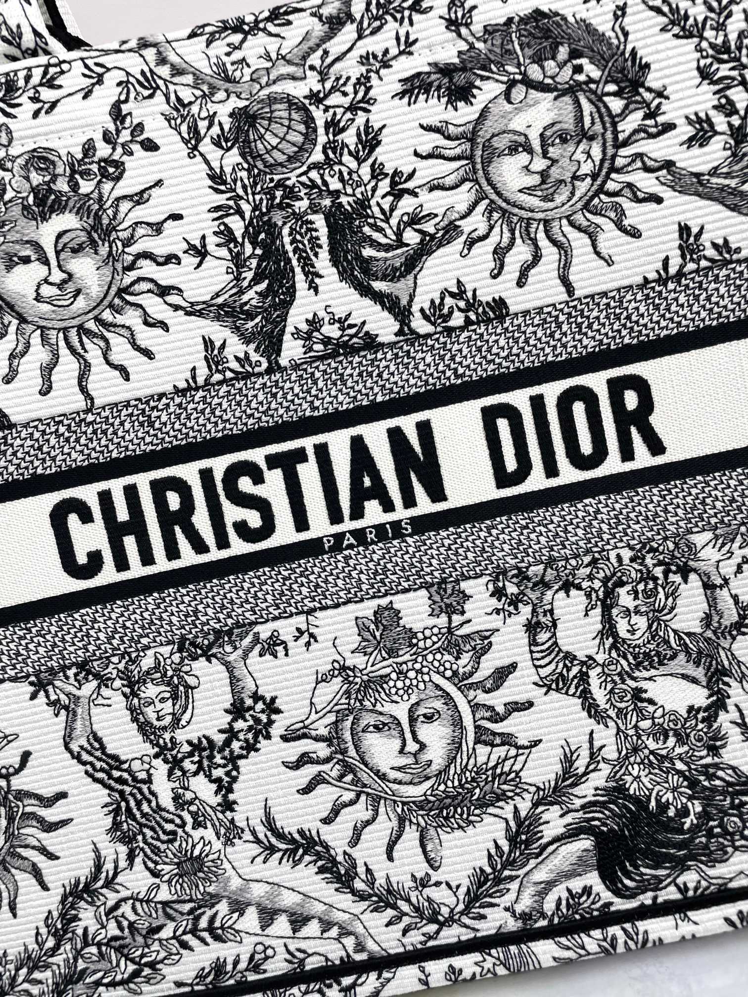 Christian Dior Medium Book Tote - Black and White Toile de Jouy Soleil Canvas