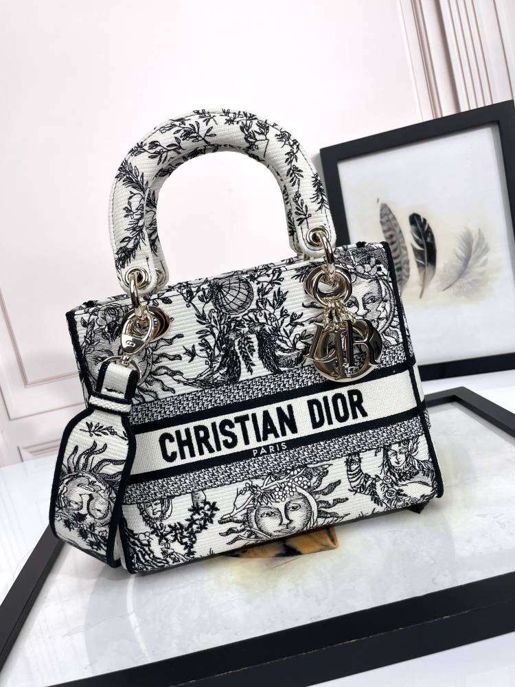Christian Dior Medium Lady D-Lite Bag with Embroidered Sun and Star Pattern