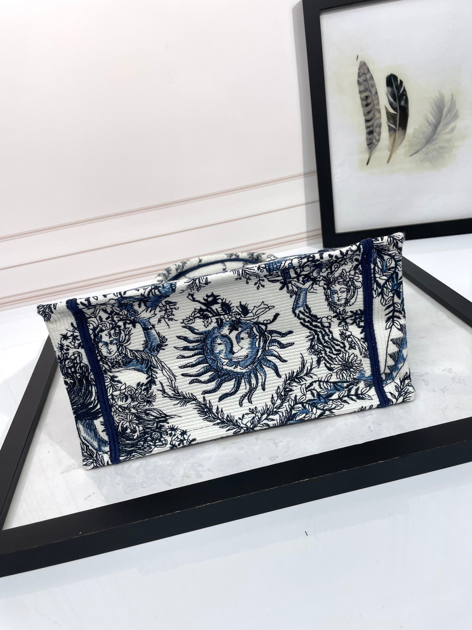 Christian Dior Blue & White Celestial Sun Embroidery Book Tote Bag