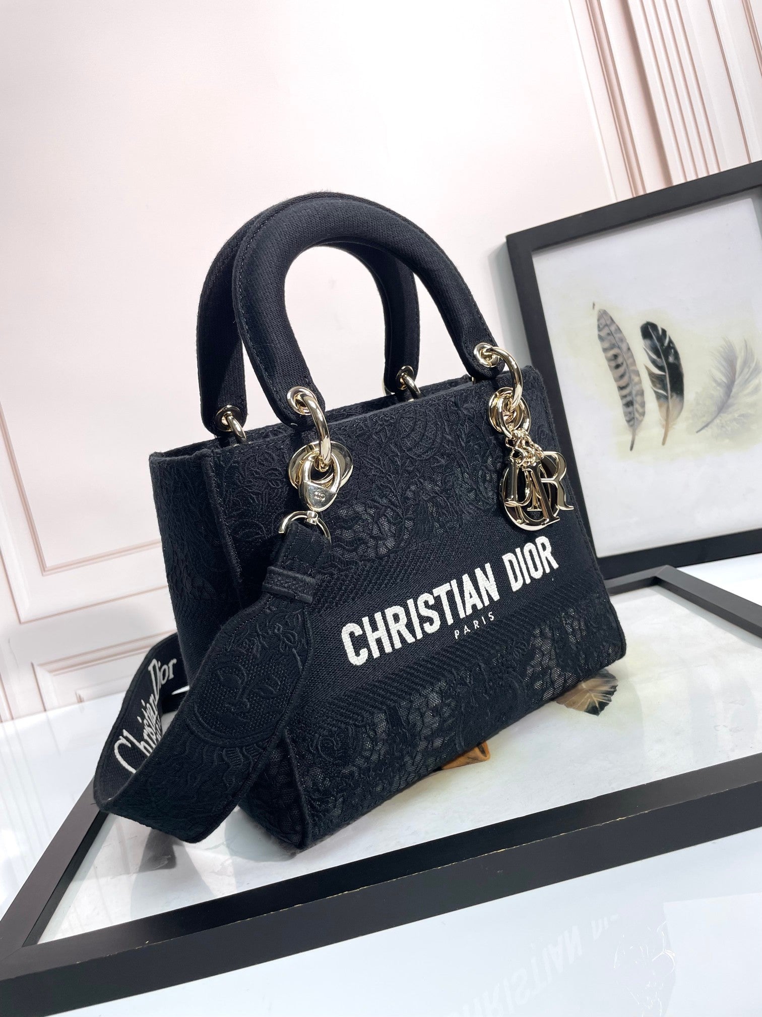Christian Dior Lady D-Lite Medium Bag - Black Embroidered Canvas Handbag