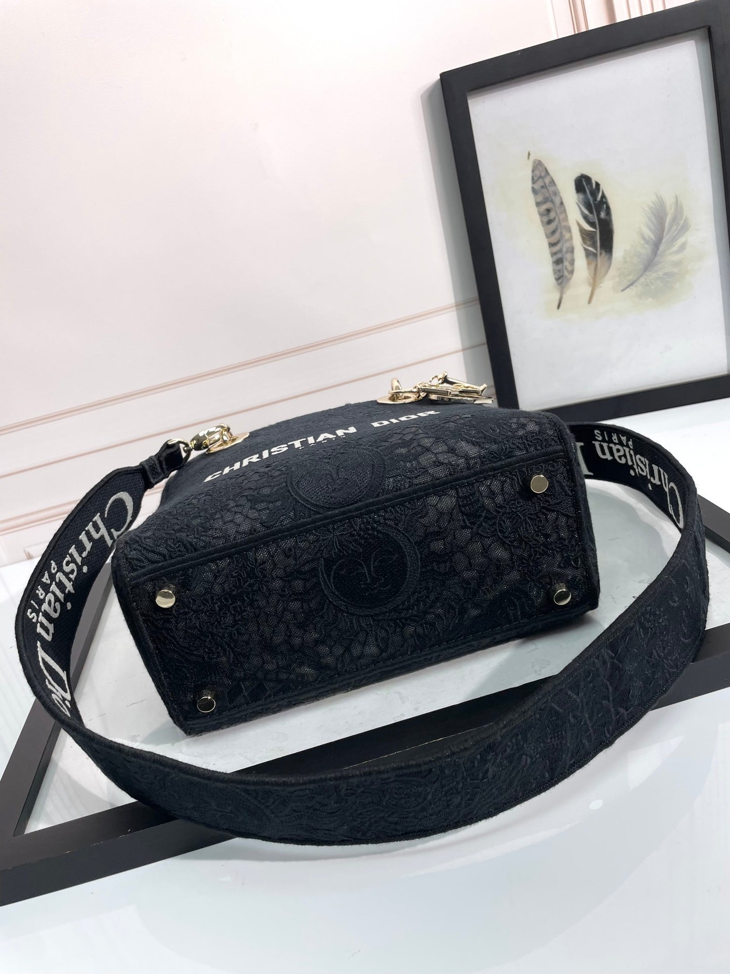 Christian Dior Medium Lady D-Lite Bag in Black Embroidered Canvas