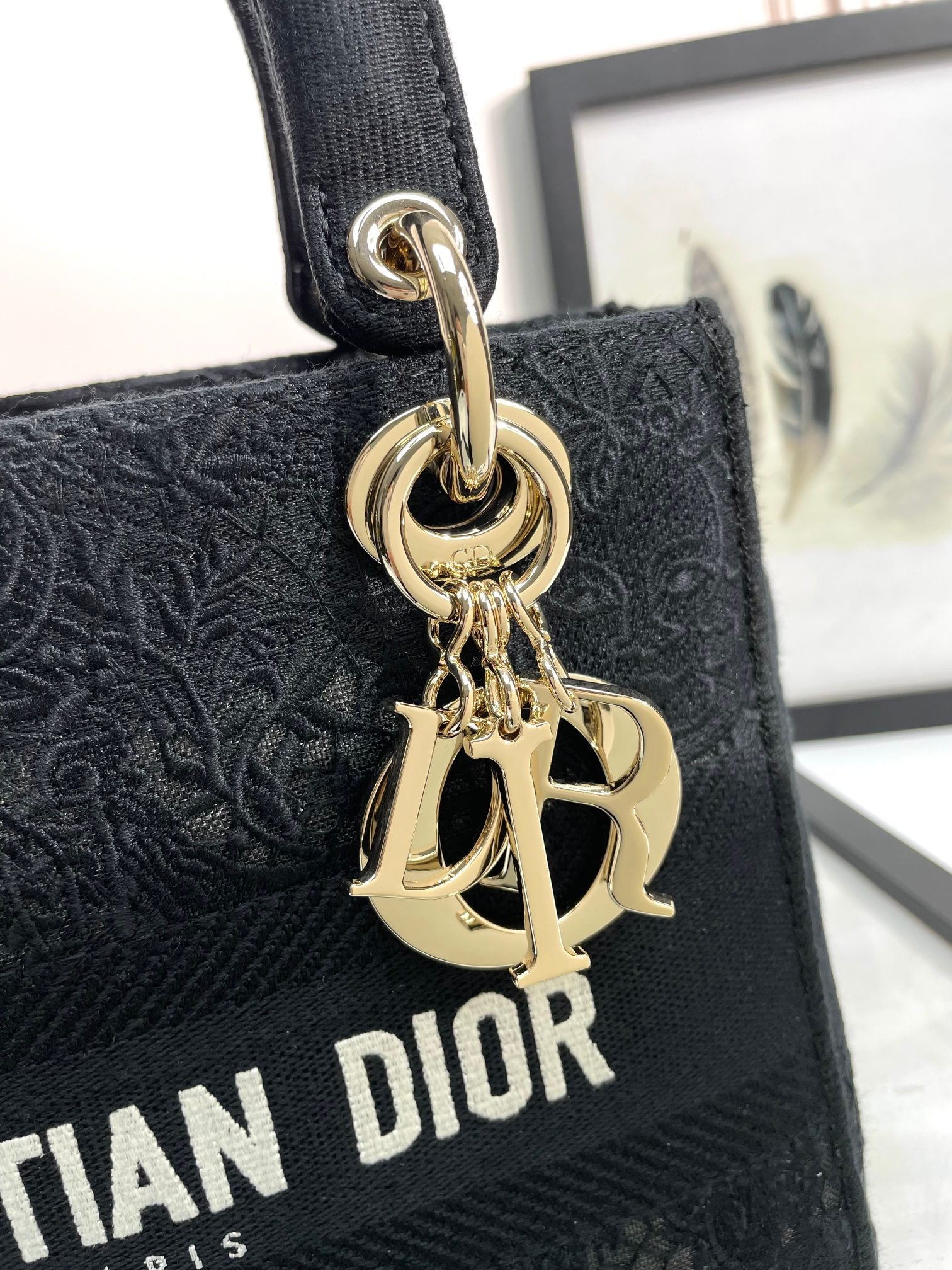 Christian Dior Medium Lady D-Lite Bag in Black Embroidered Canvas