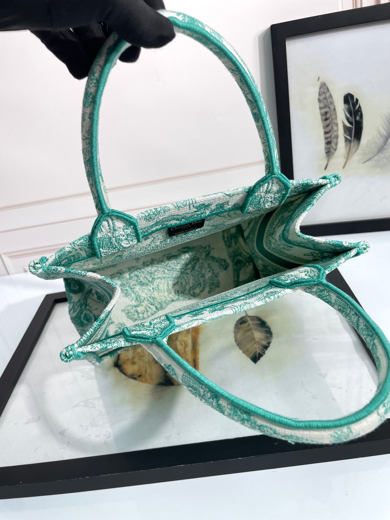 Christian Dior Book Tote Bag - Green and White Toile de Jouy Embroidered Canvas