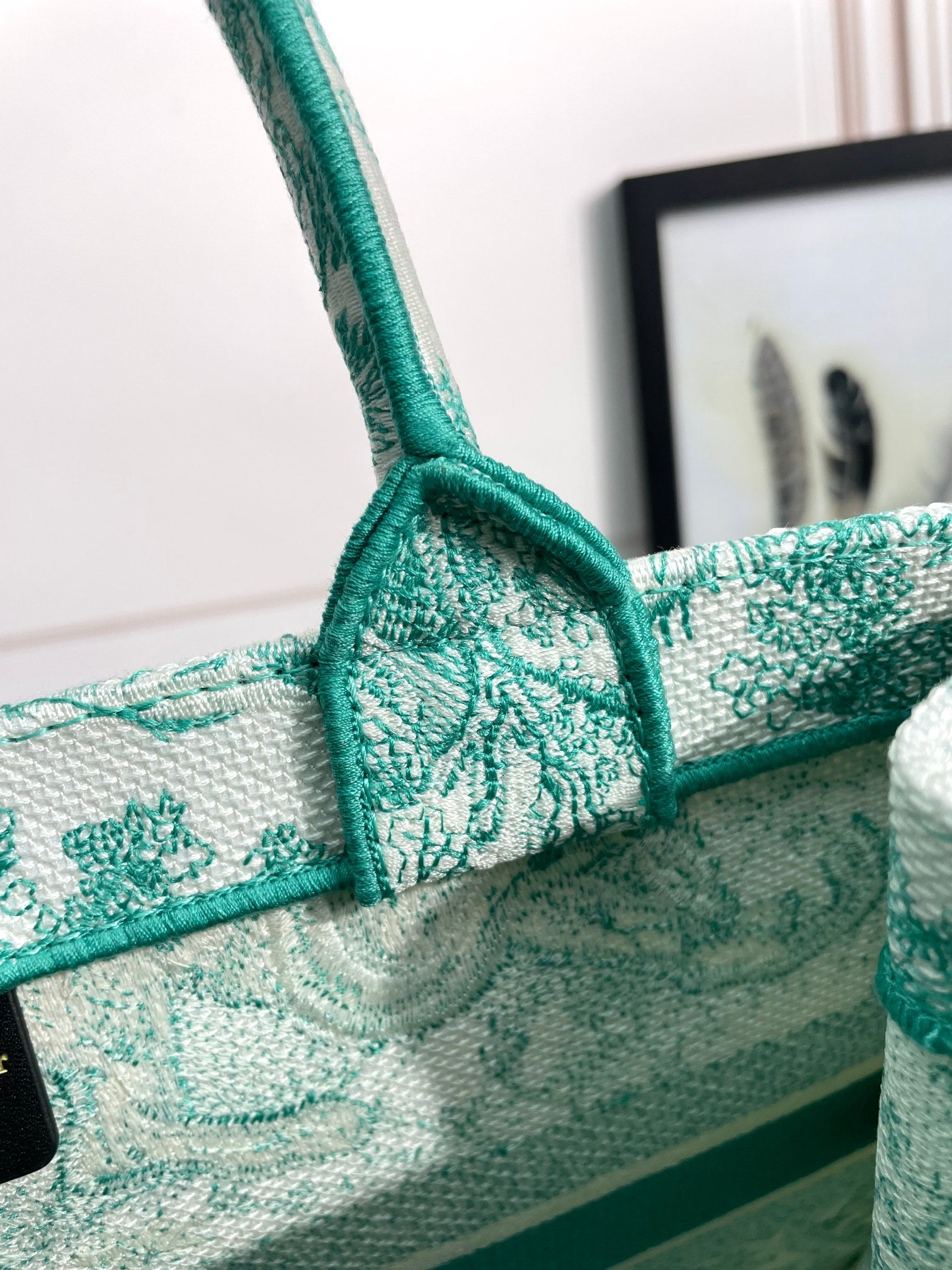 Christian Dior Large Book Tote - Green Toile de Jouy Sauvage Embroidery