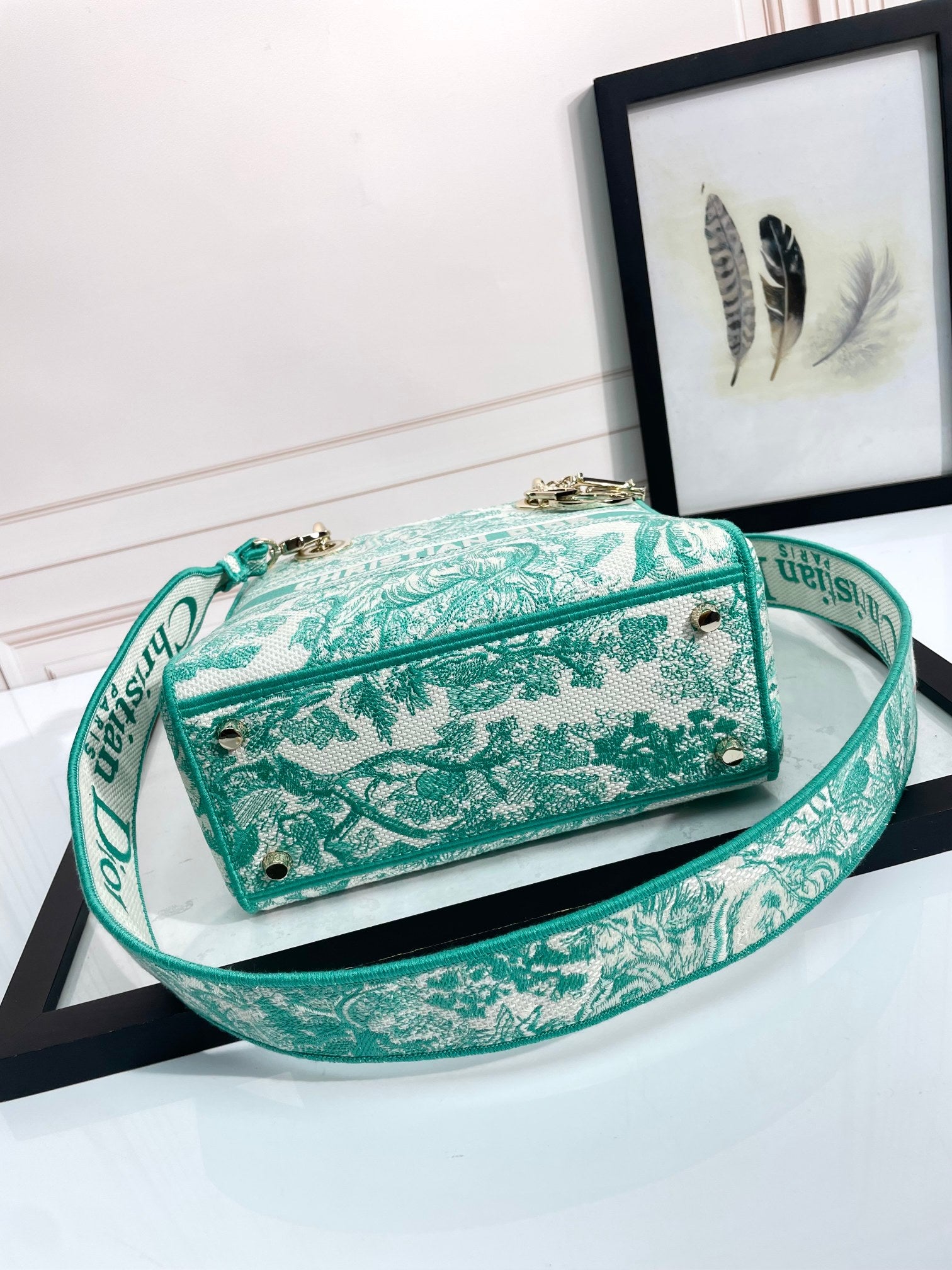 Christian Dior Lady D-Lite Bag - Green Toile de Jouy Embroidery Medium Handbag