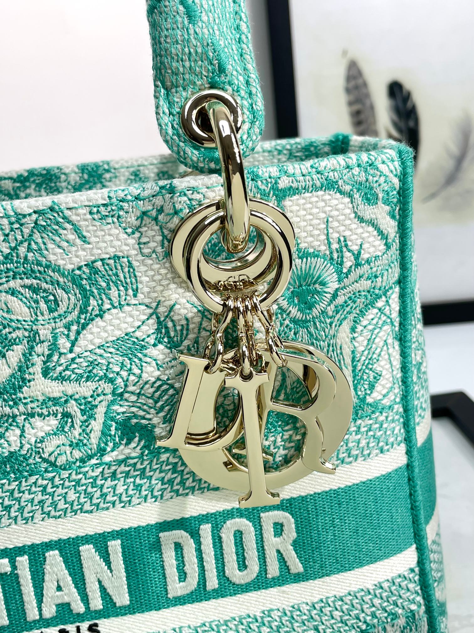 Christian Dior Lady D-Lite Bag - Green Toile de Jouy Embroidery Medium Handbag