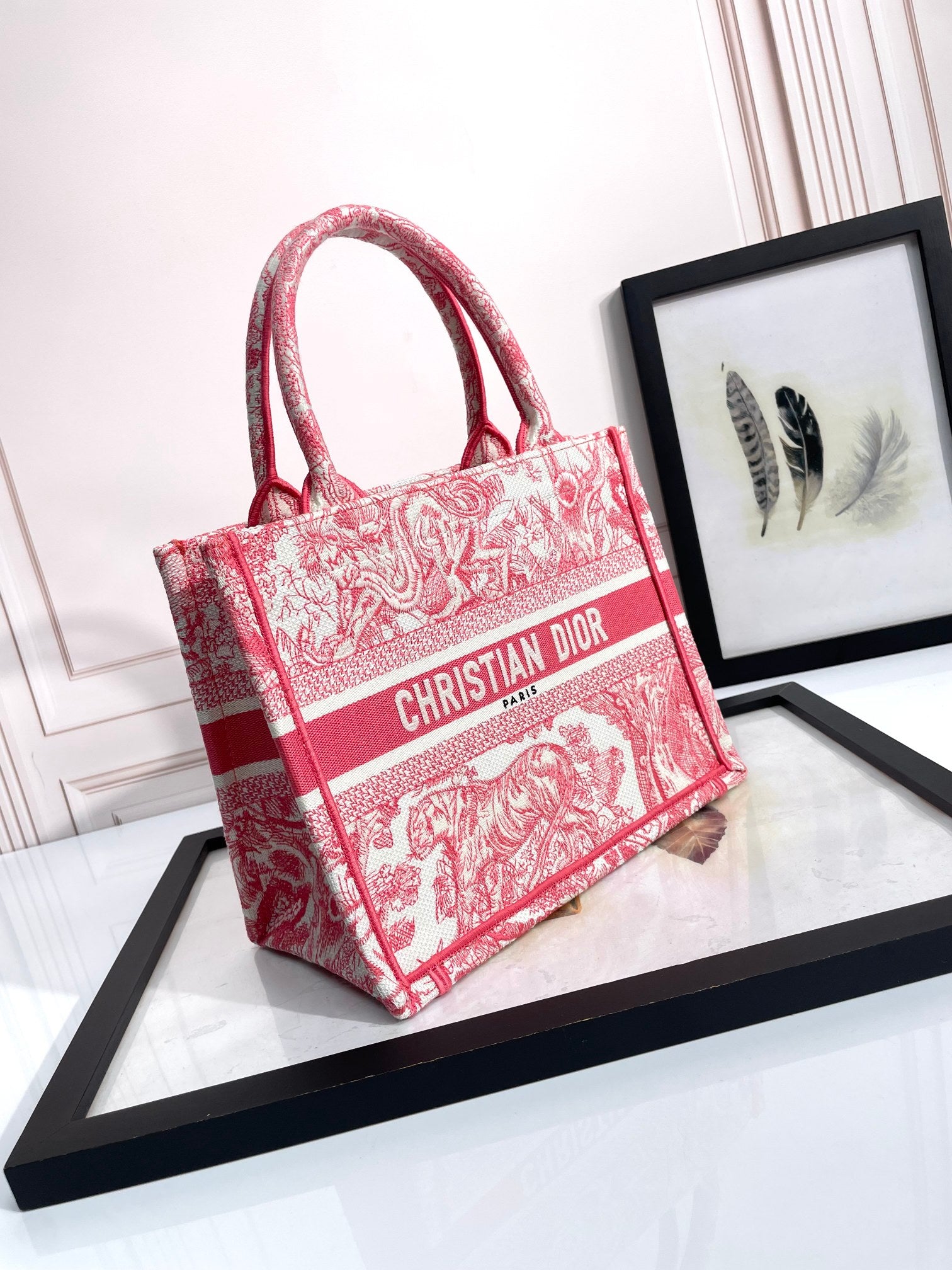 Christian Dior Small Dior Book Tote - Red Toile de Jouy Reverse Embroidery