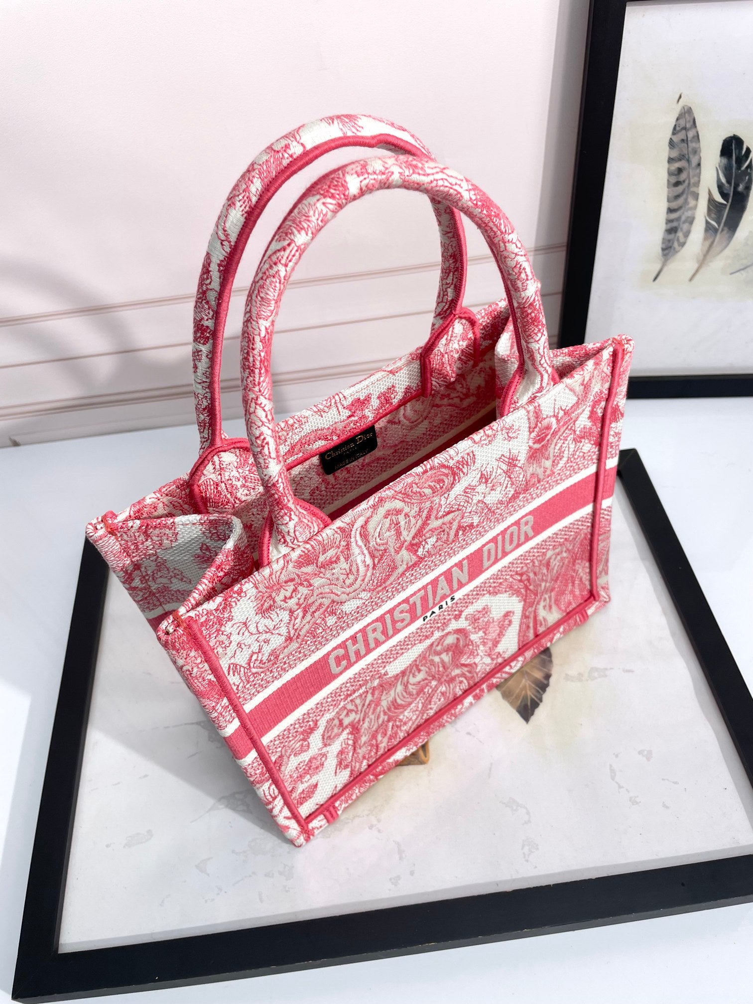 Christian Dior Book Tote Bag Toile de Jouy Red Embroidered Canvas