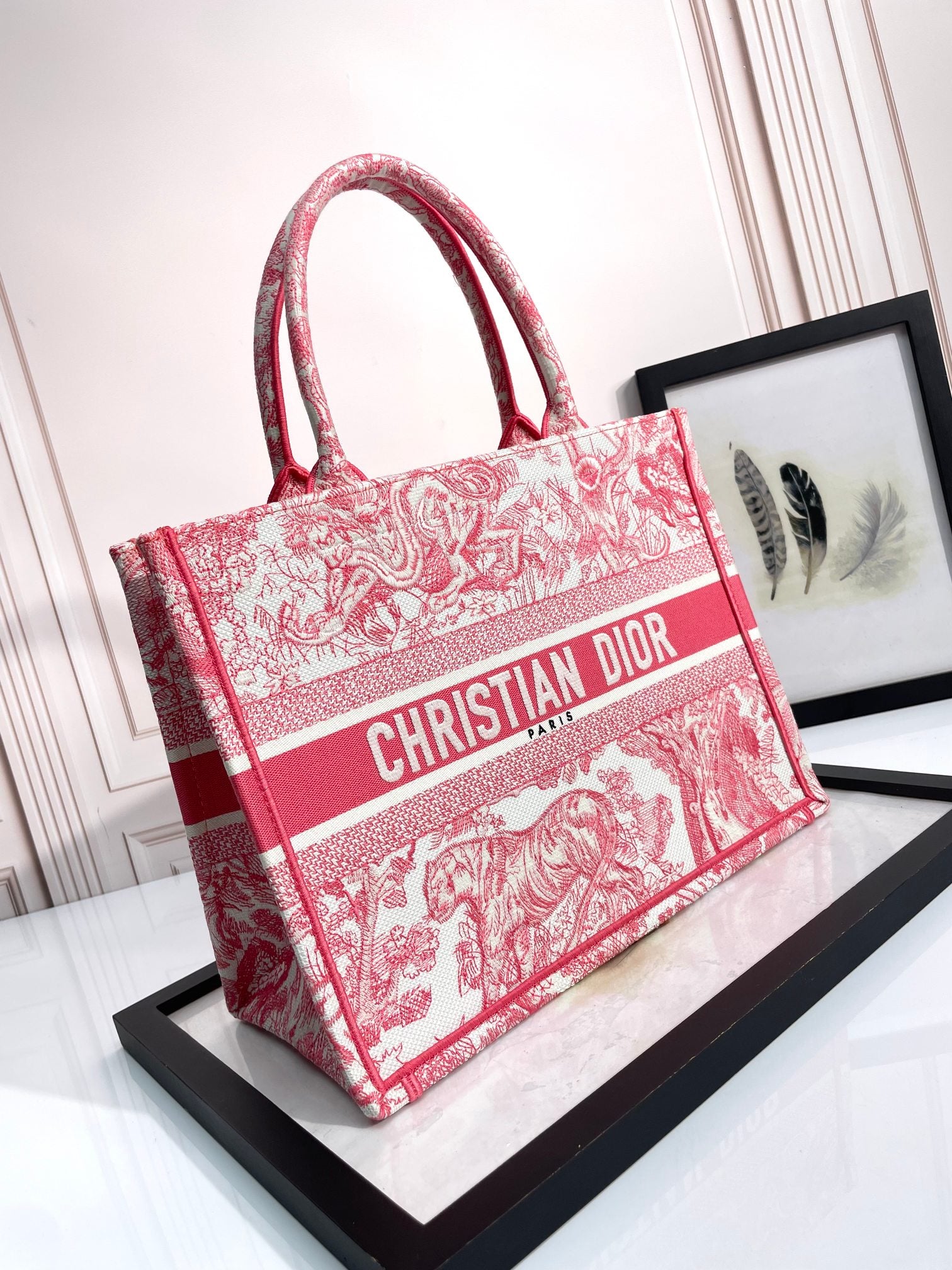 Christian Dior Medium Book Tote - Red Toile de Jouy Embroidery