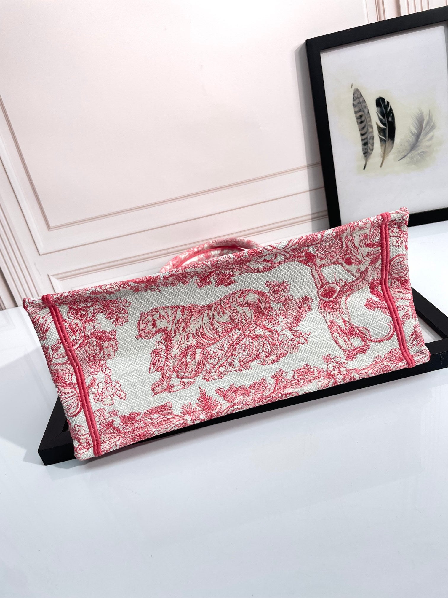 Christian Dior Large Book Tote Bag in Red Toile de Jouy Embroidery