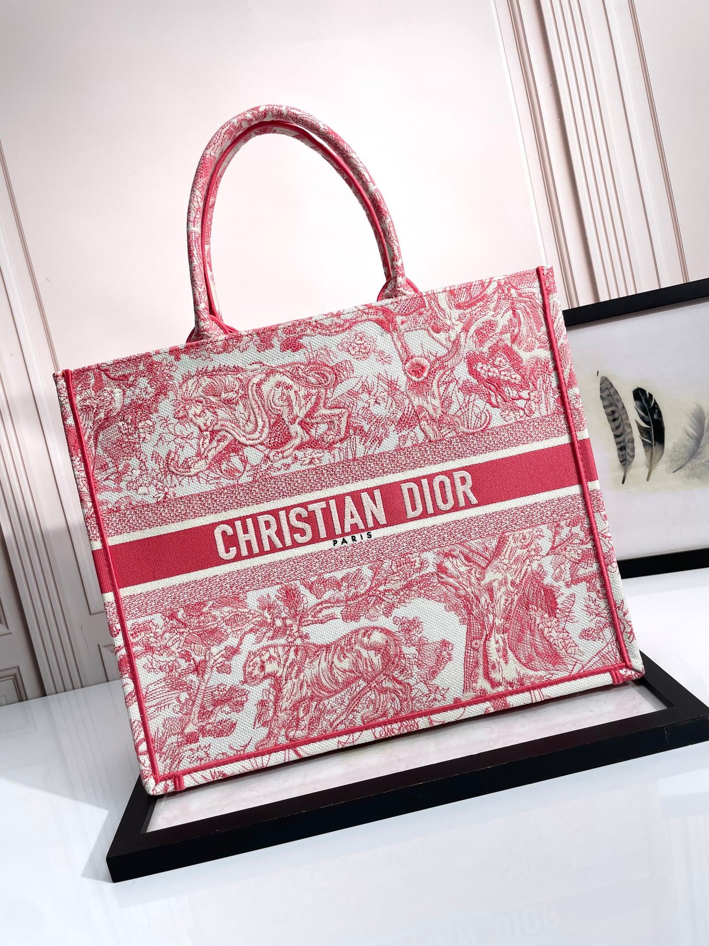 Christian Dior Large Book Tote Bag - Pink Toile de Jouy Embroidery