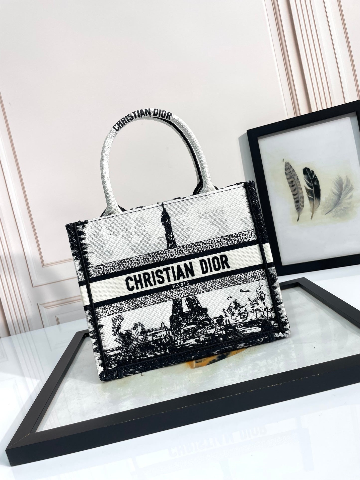Christian Dior Medium Book Tote Plan de Paris Embroidery Black and White