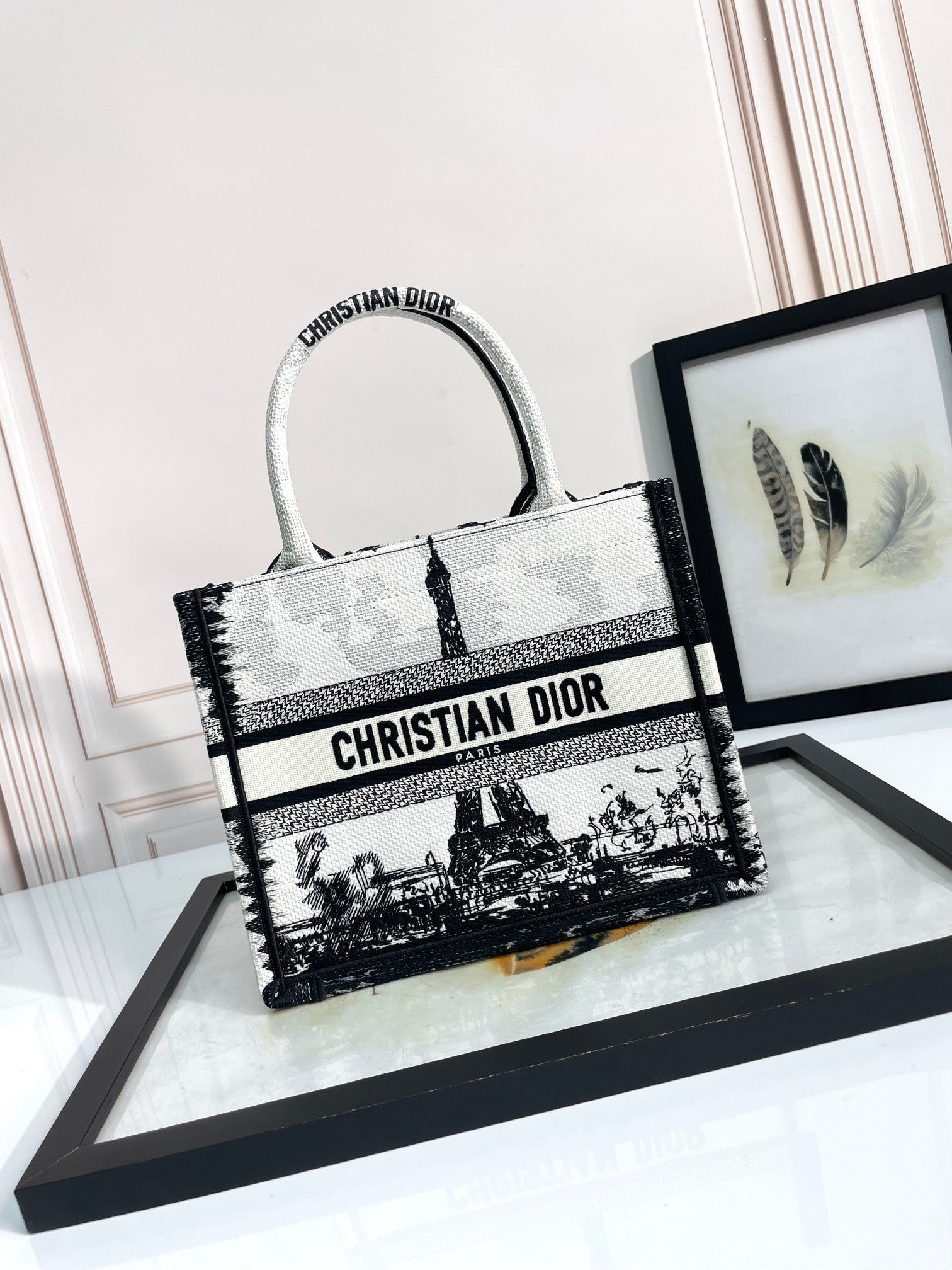 Christian Dior Medium Book Tote Plan de Paris Black and White Embroidered Bag