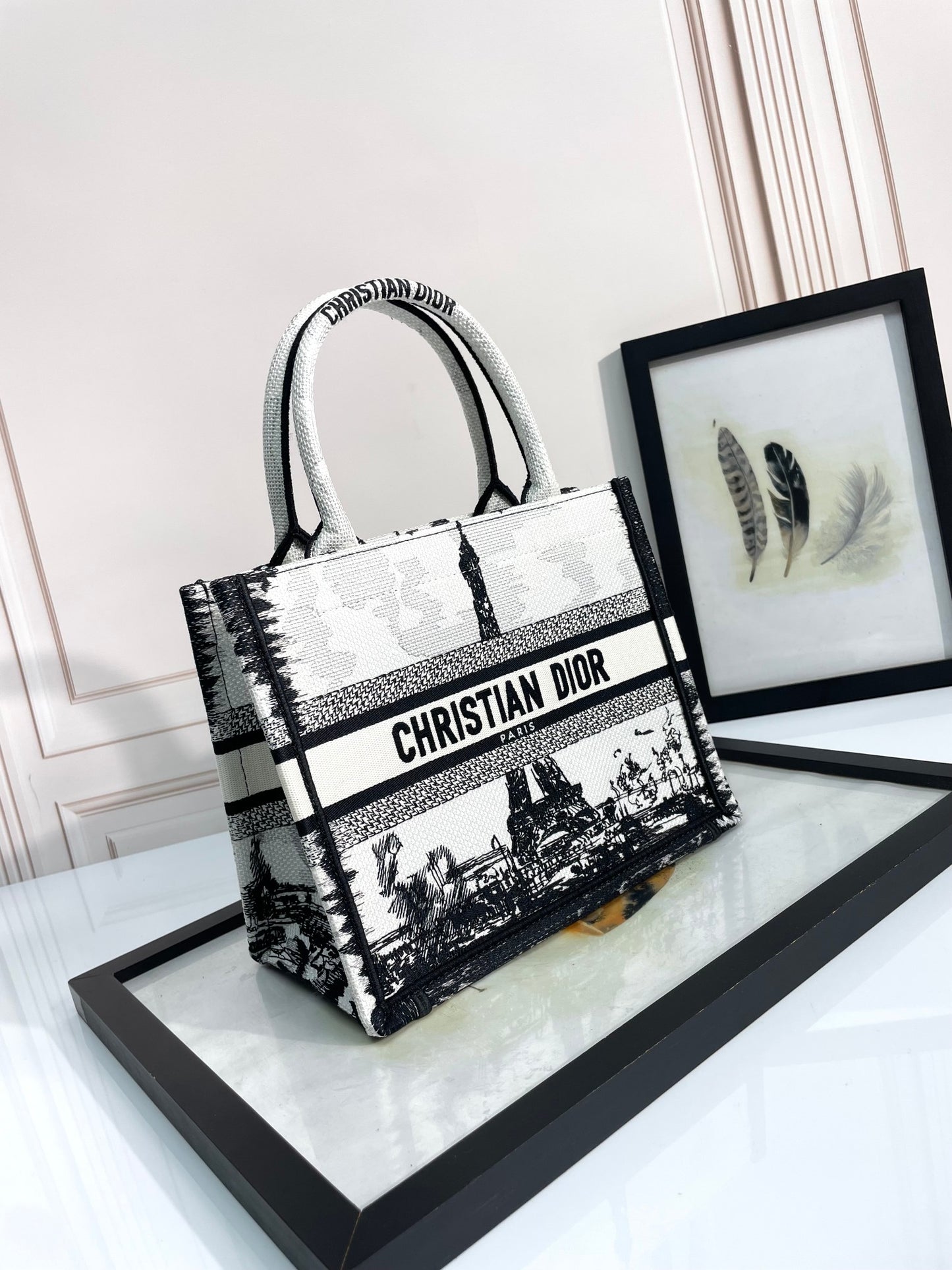 Christian Dior Book Tote Bag - Black and White Paris Cityscape Embroidery