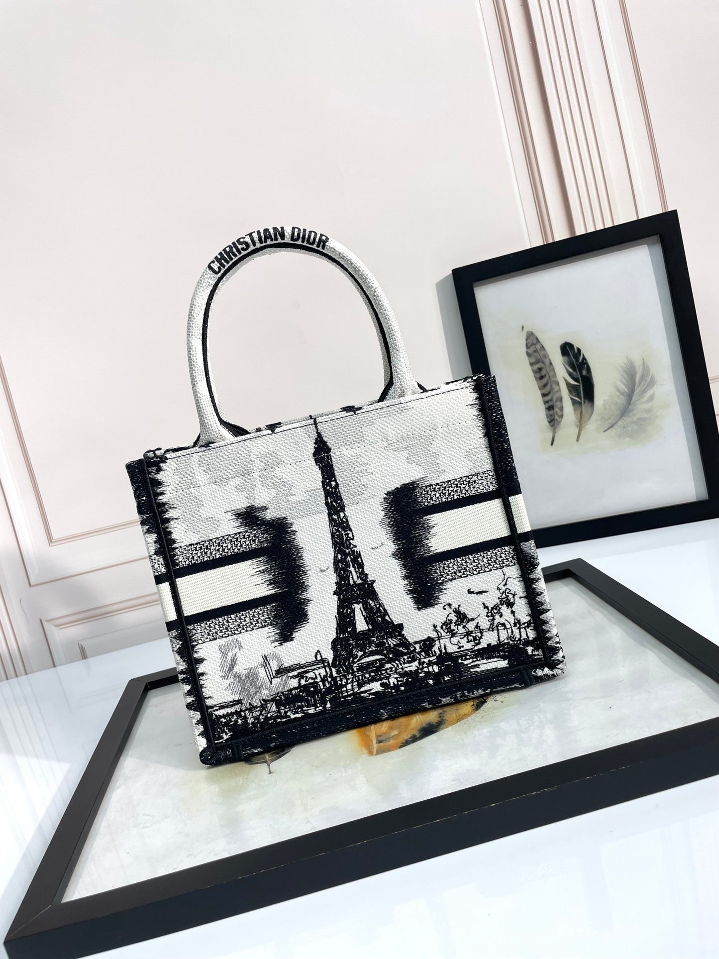 Christian Dior Book Tote Bag - Black and White Paris Cityscape Embroidery
