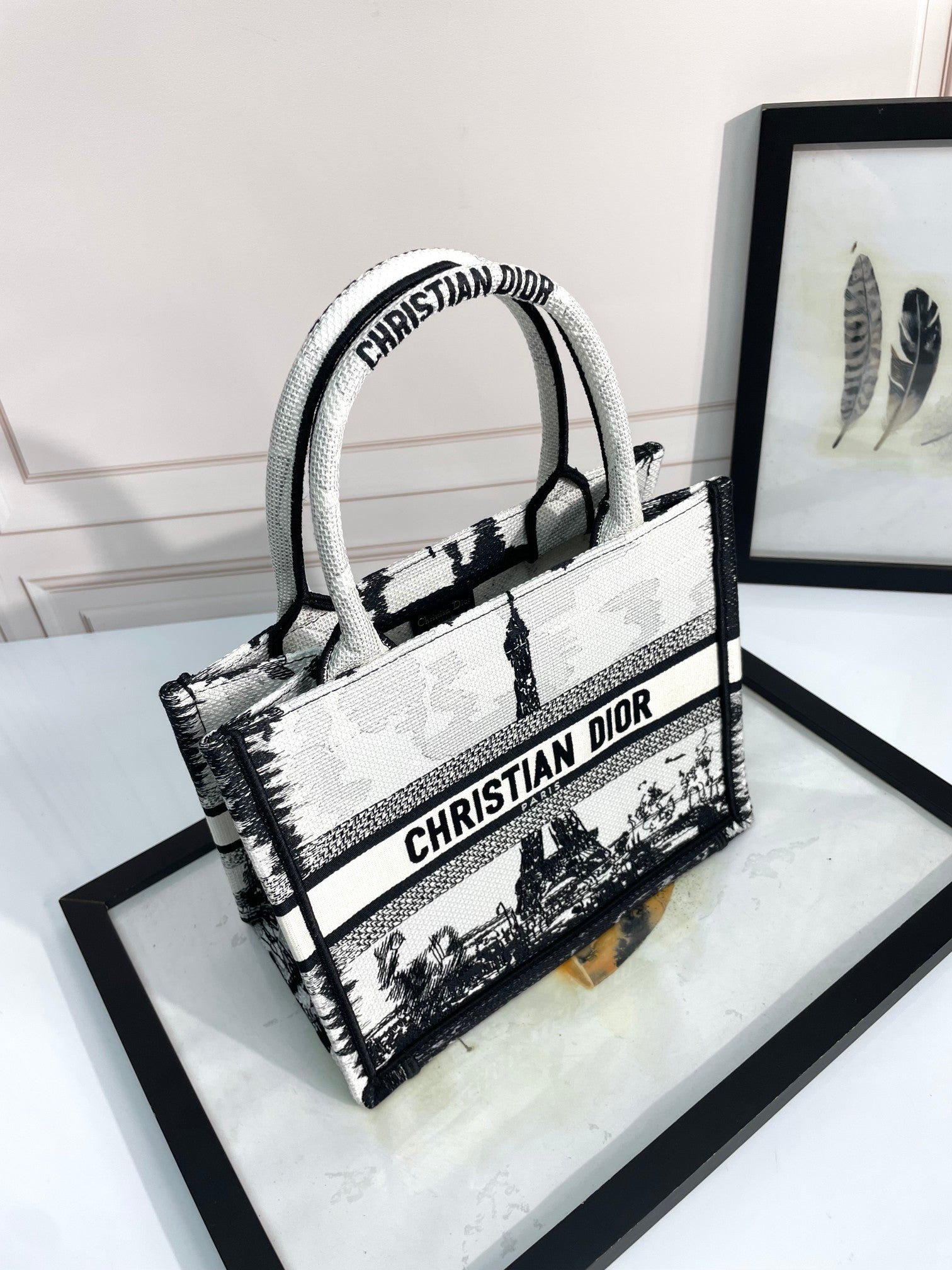Christian Dior Plan de Paris Book Tote - Black and White Embroidered Canvas