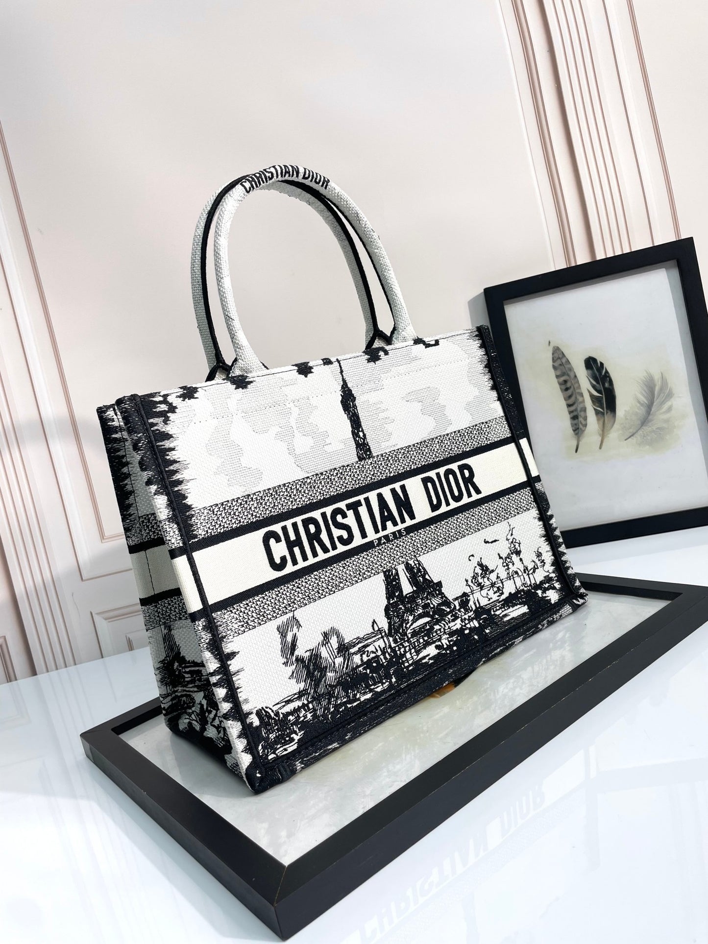Christian Dior Book Tote Eiffel Tower Print Black and White Canvas Handbag