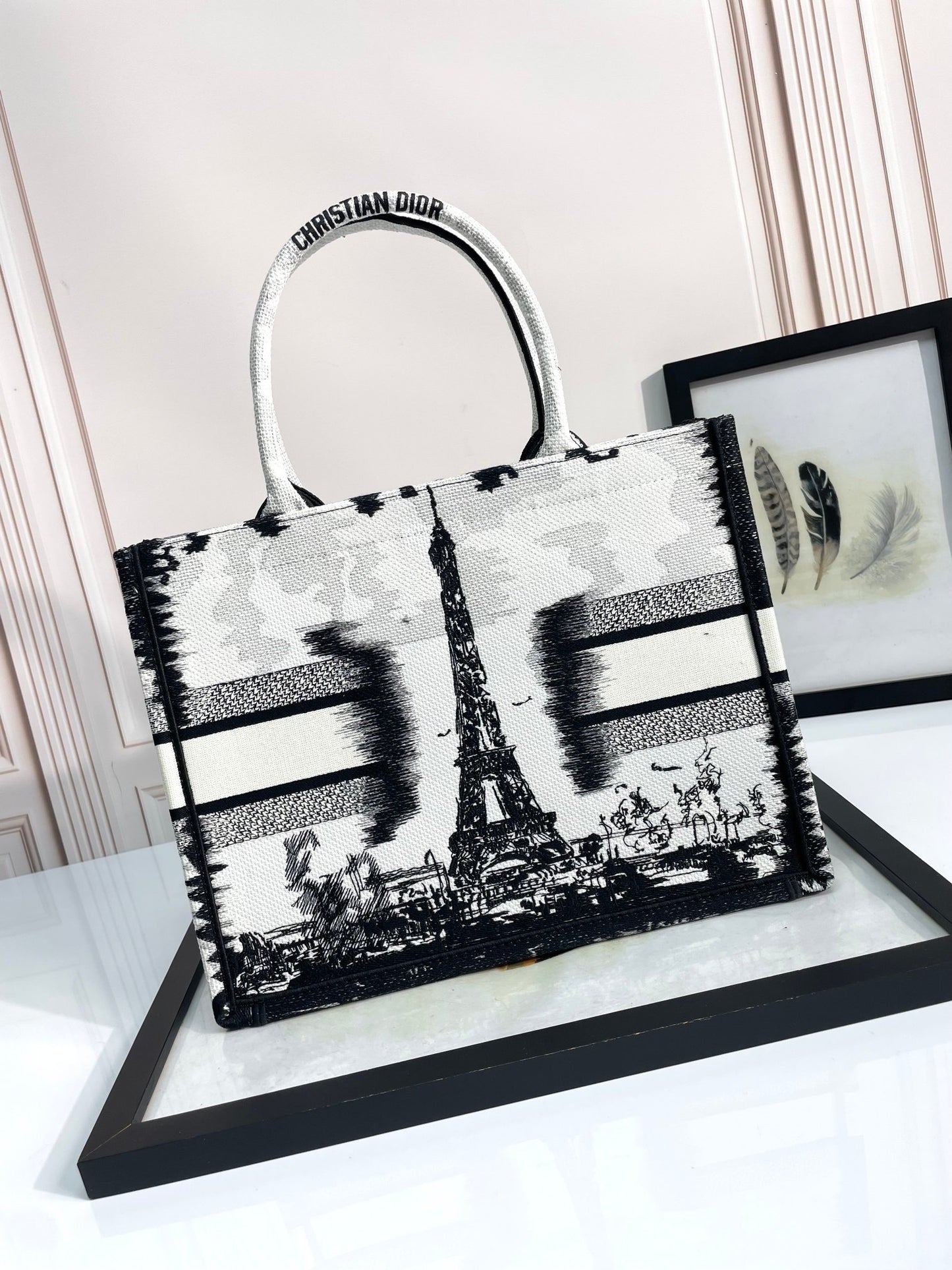 Christian Dior Medium Book Tote Bag with Black and White Plan de Paris Embroidery