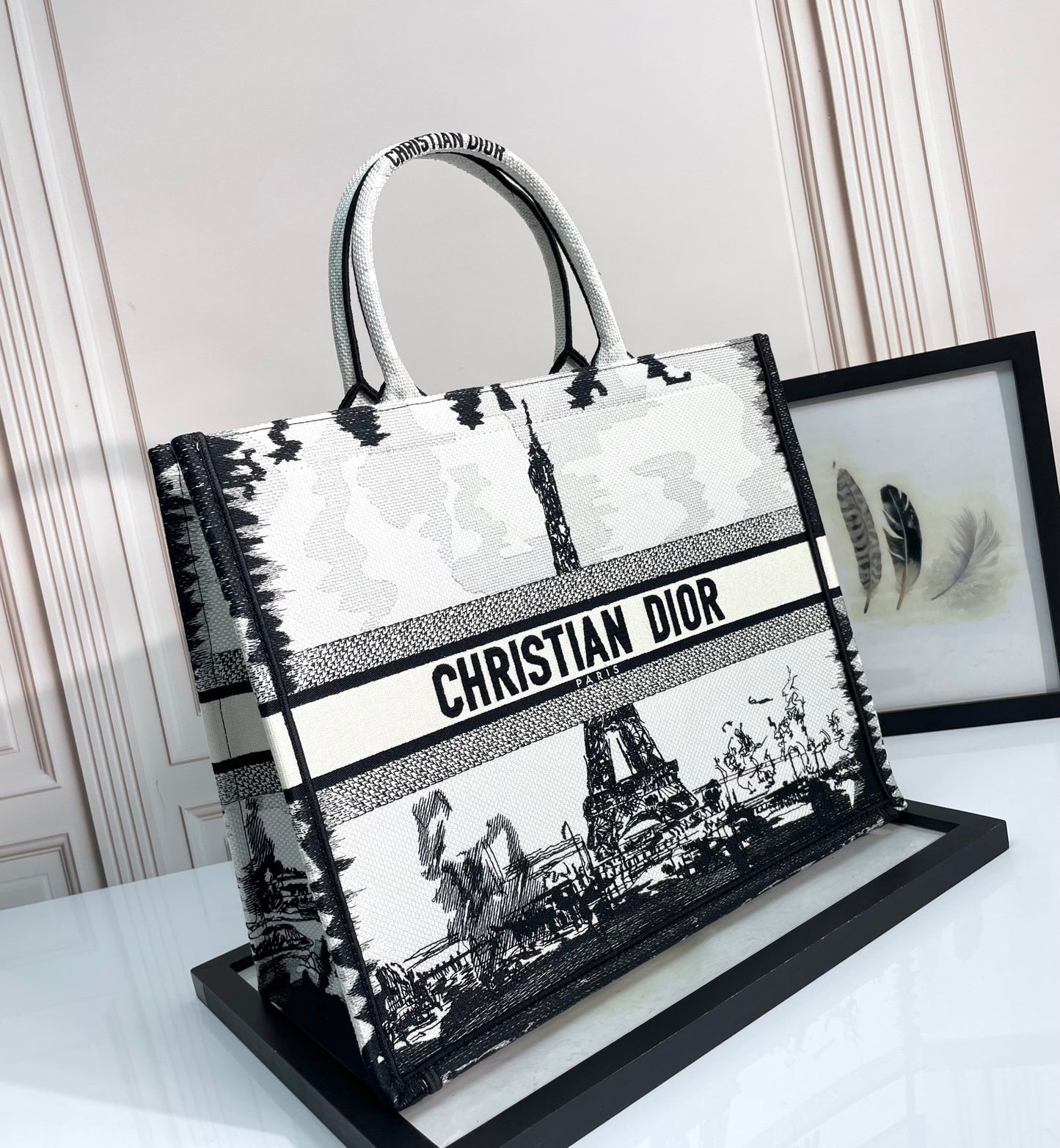 Christian Dior Medium Book Tote - Black and White Plan de Paris Embroidery