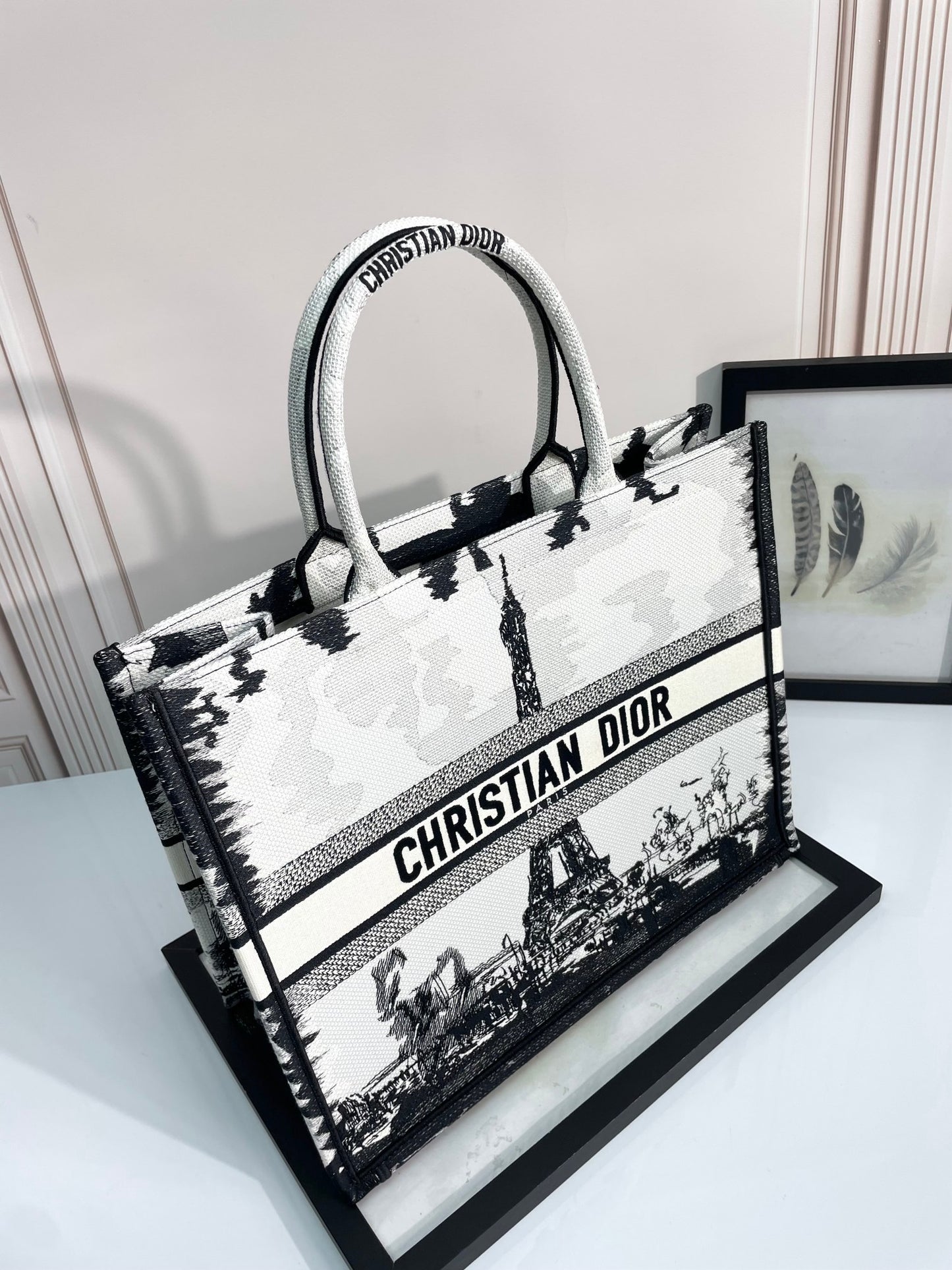 Christian Dior Medium Book Tote - Black and White Plan de Paris Embroidery