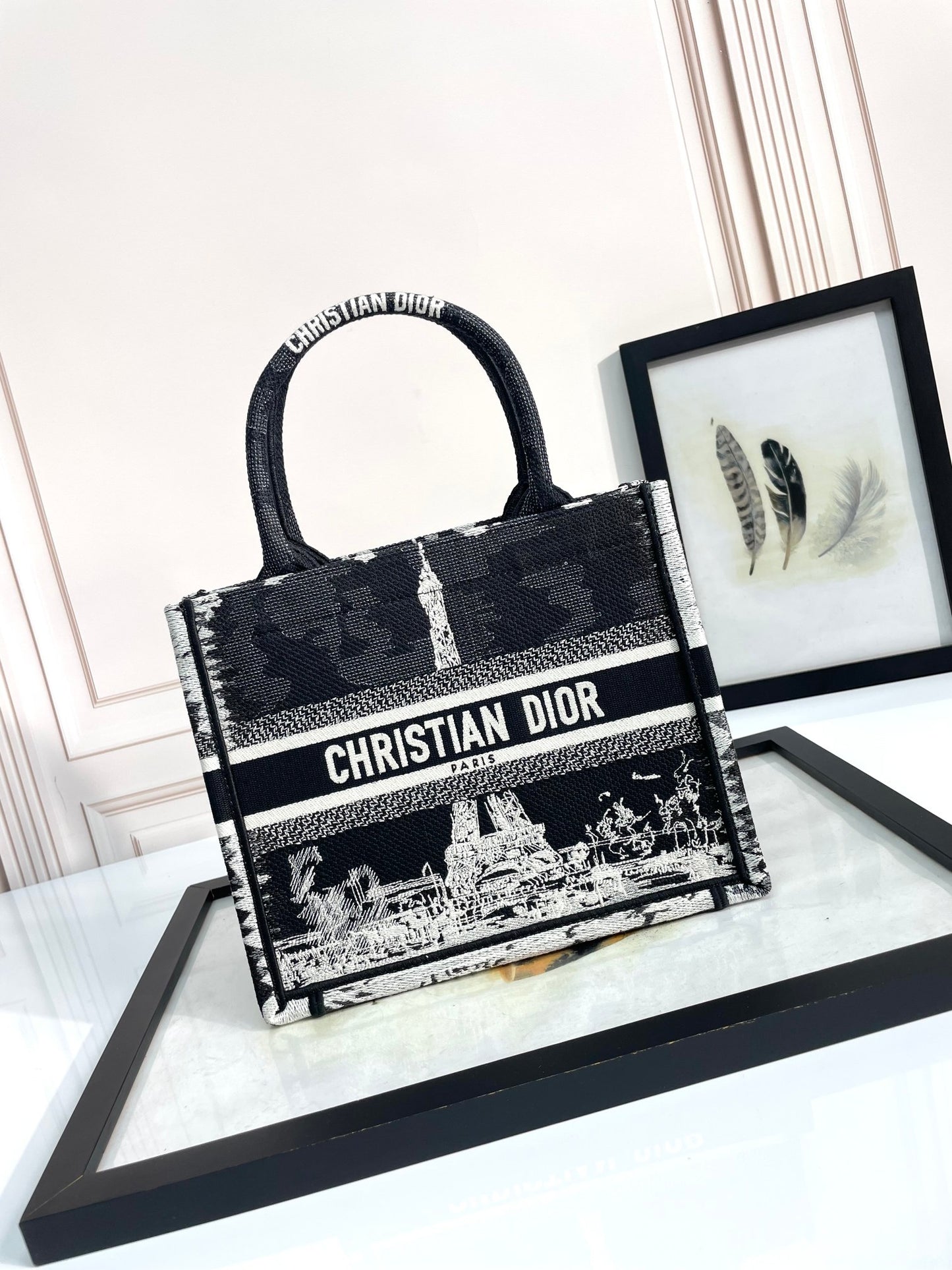 Christian Dior Book Tote Bag Black and White Paris Print Canvas