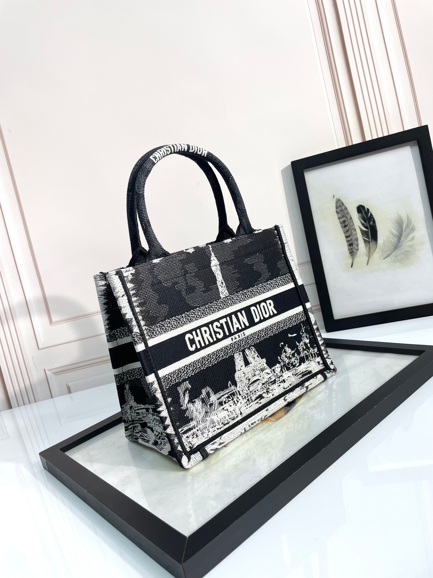 Christian Dior Book Tote Bag Black and White Paris Print Canvas