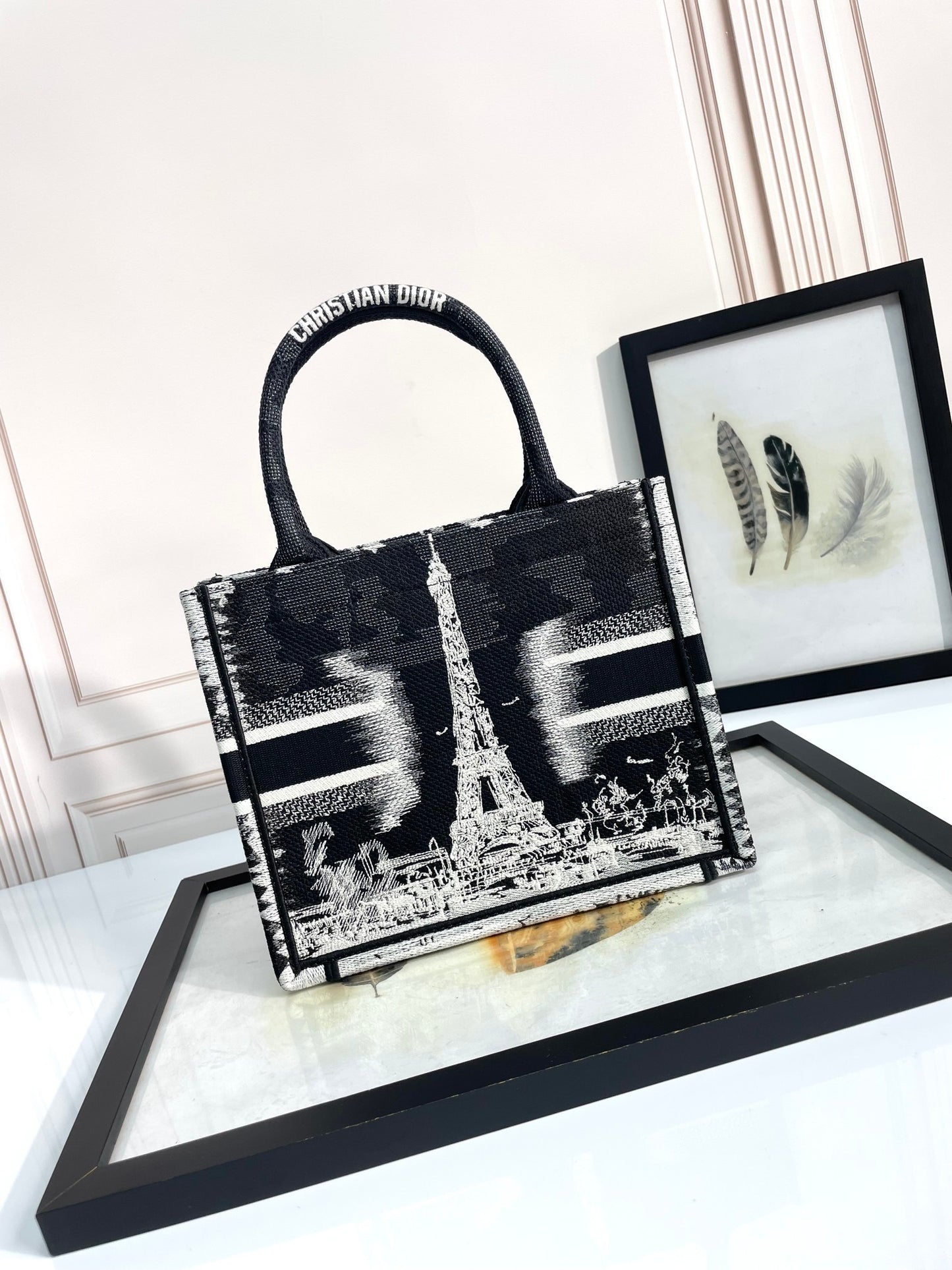 Christian Dior Medium Book Tote - Black and White Plan de Paris Embroidery Canvas Handbag