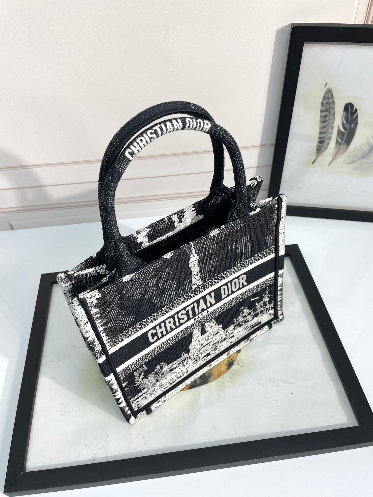Christian Dior Medium Book Tote Bag - Black and White Plan de Paris Embroidery