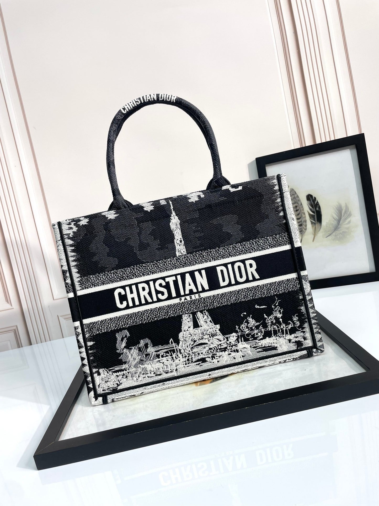 Christian Dior Medium Book Tote Plan de Paris Embroidery - Black & White