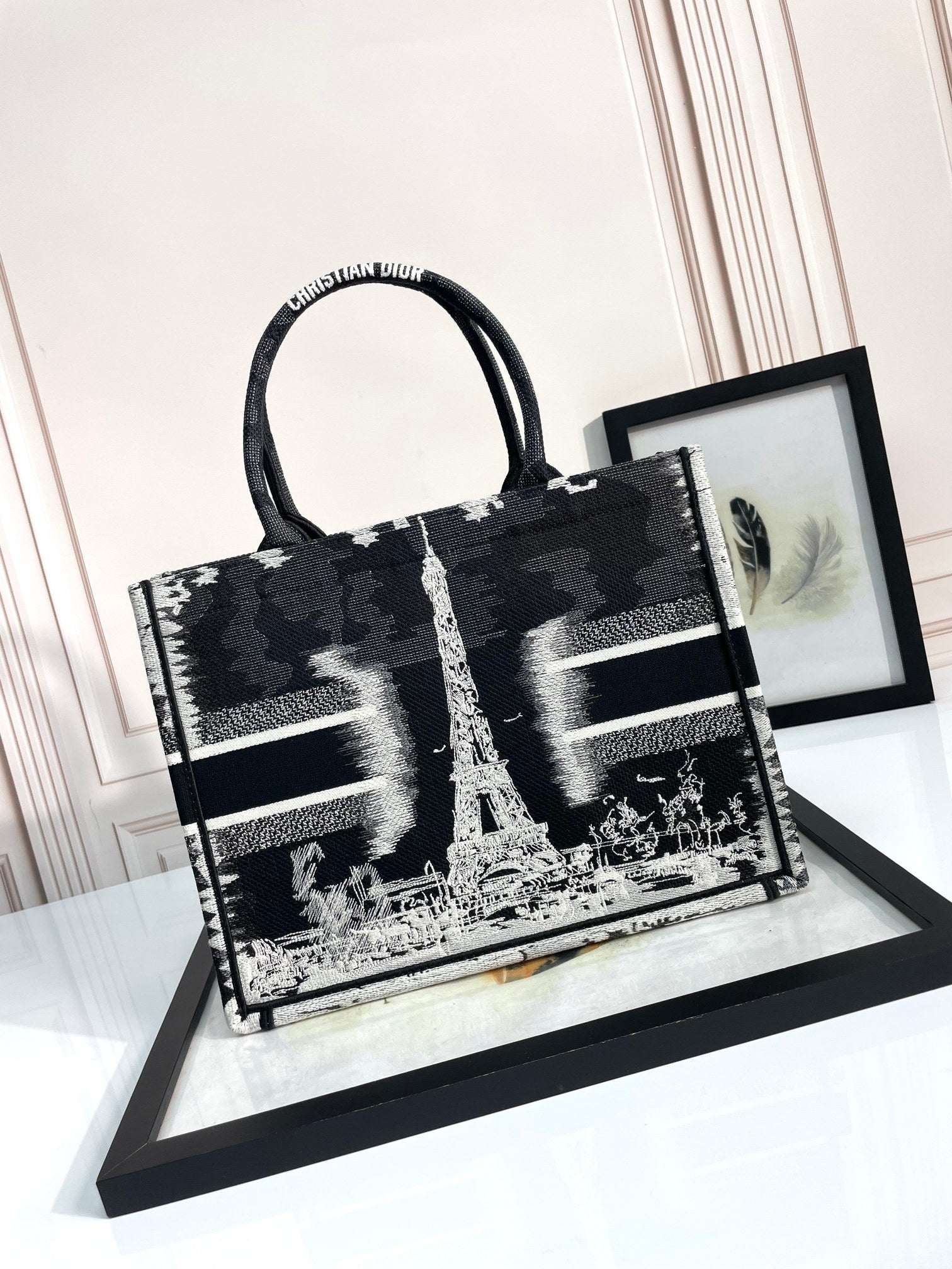 Christian Dior Book Tote - Paris Eiffel Tower Black & White Embroidered Canvas