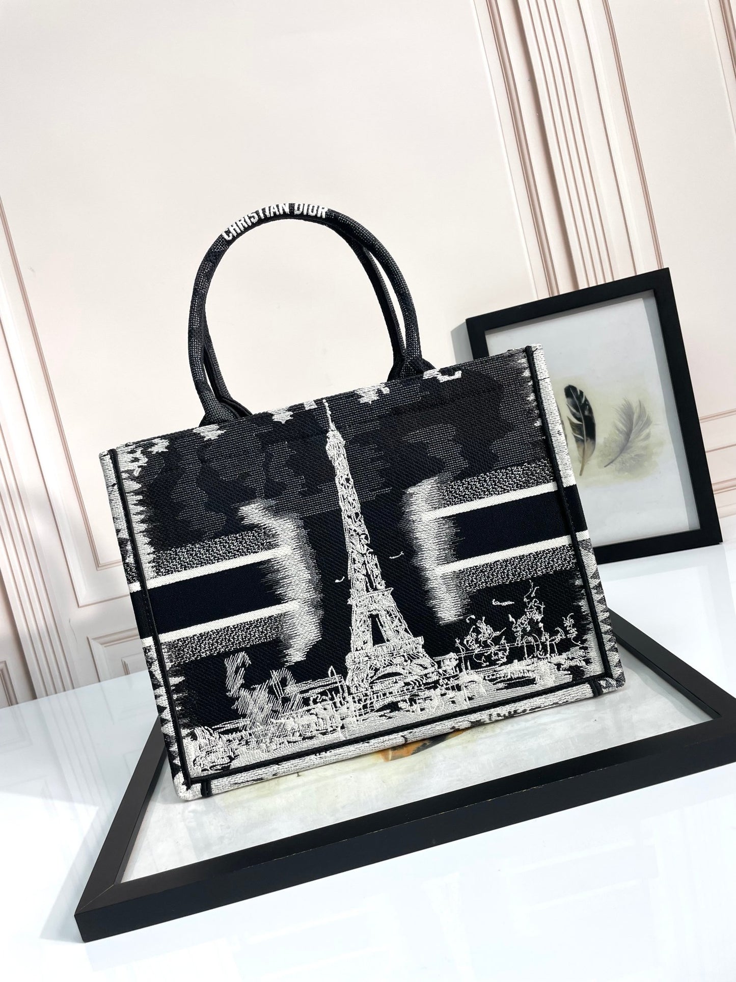 Christian Dior Medium Book Tote Plan de Paris Embroidery - Black & White