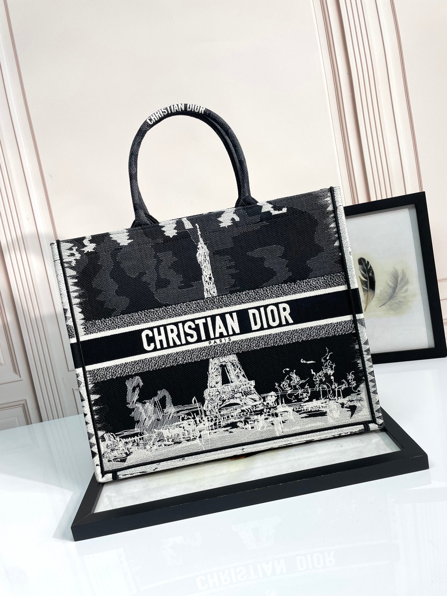 Christian Dior Medium Book Tote - Plan de Paris Black and White Embroidered Canvas